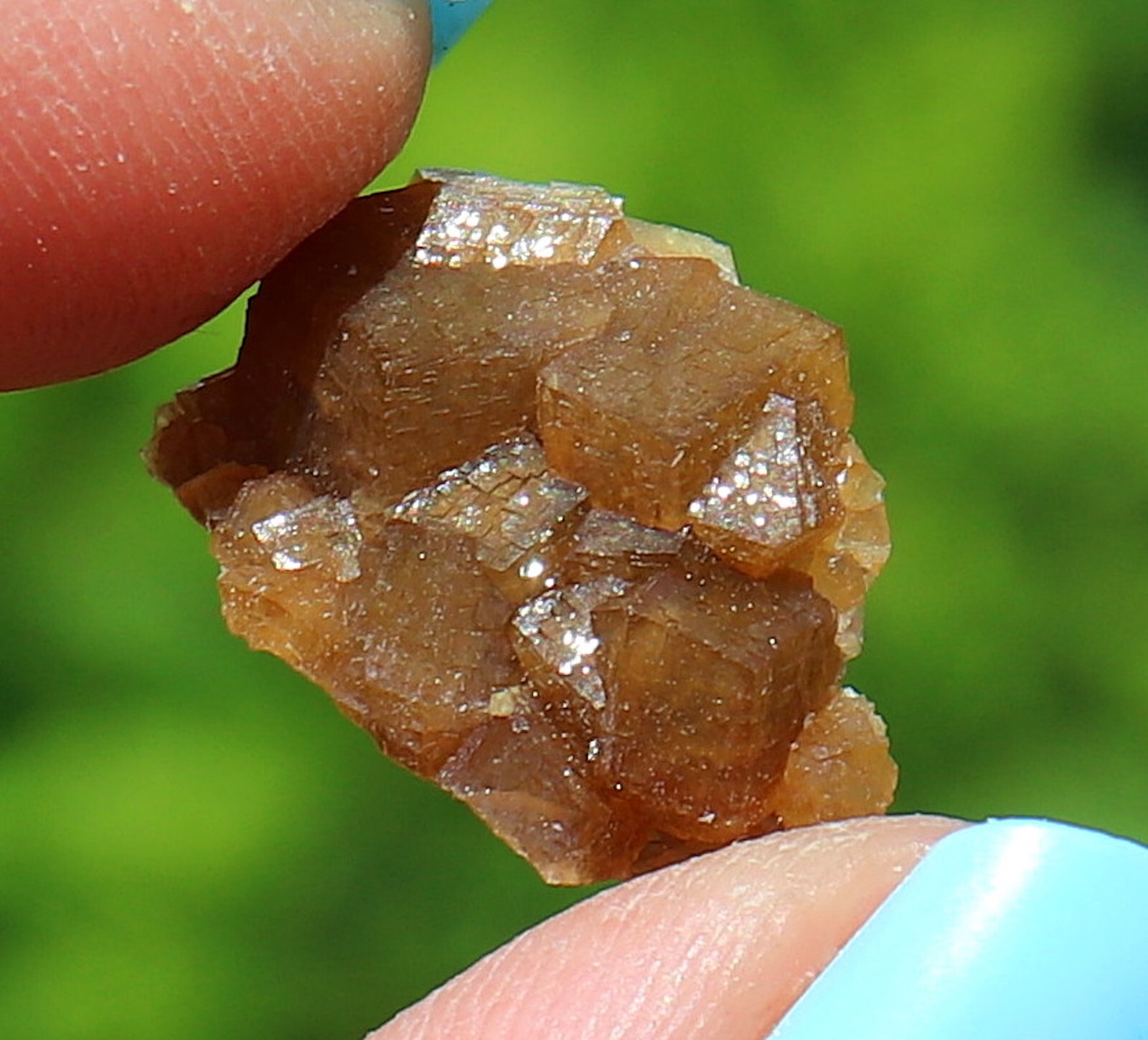 Andradite Garnet Gemmy Golden Brown From Dal’negorsk Russia 1.8 Cm’s