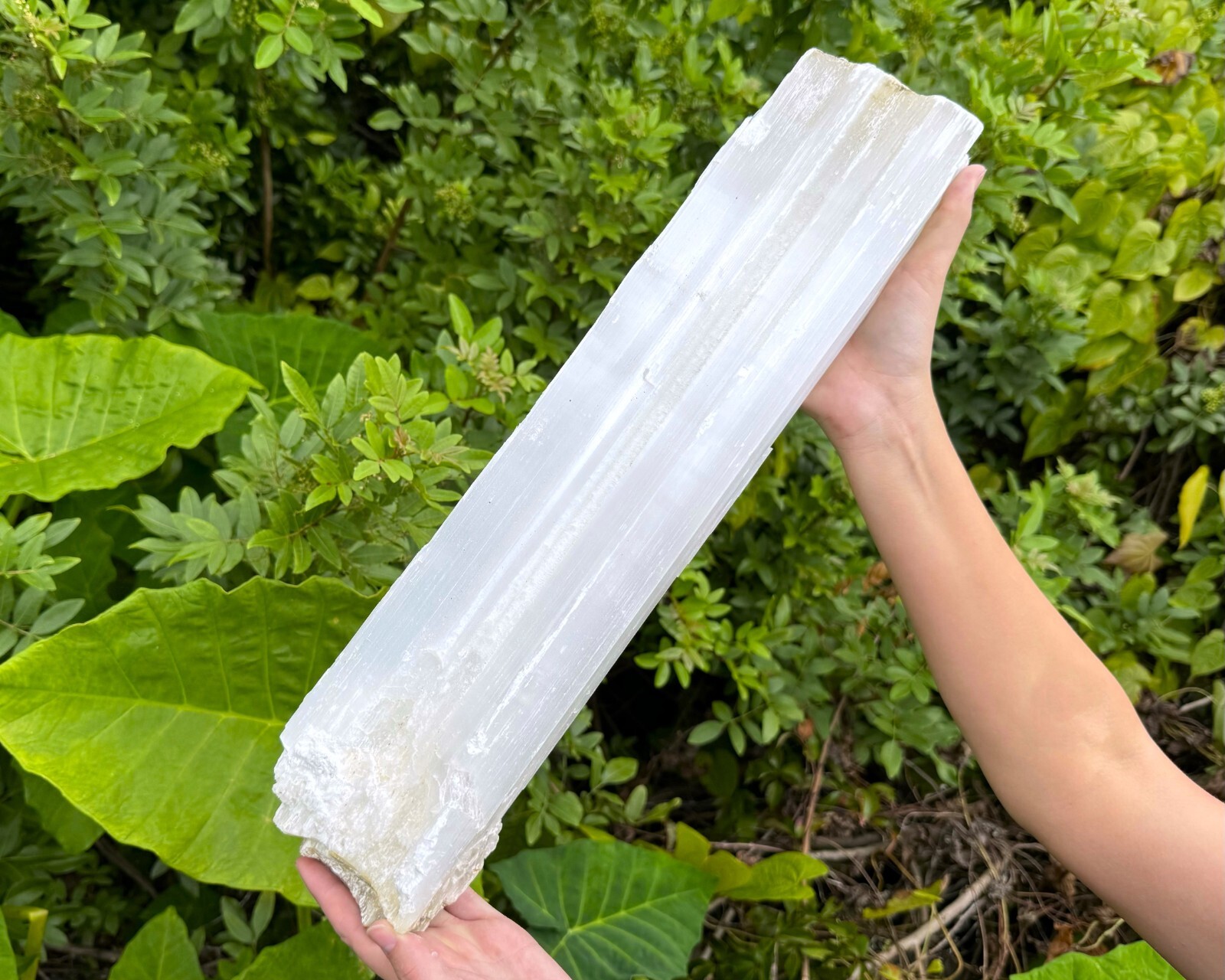 MASSIVE Selenite Logs – Natural White Selenite Crystals (HUGE Selenite Sticks)