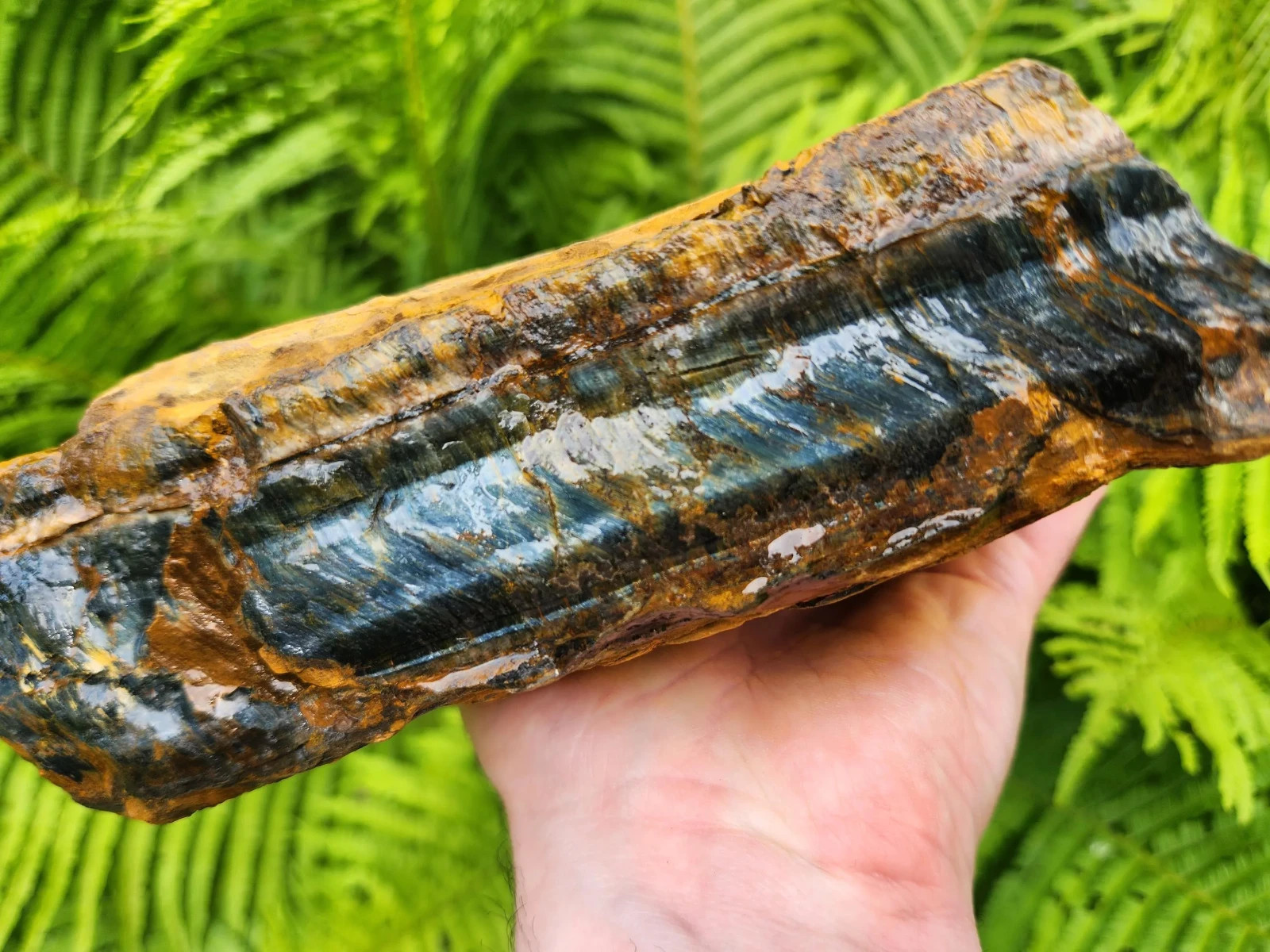 5 lb 11 oz Rough Blue Tiger’s Eye Stone. Ideal for Lapidary. Luminescent