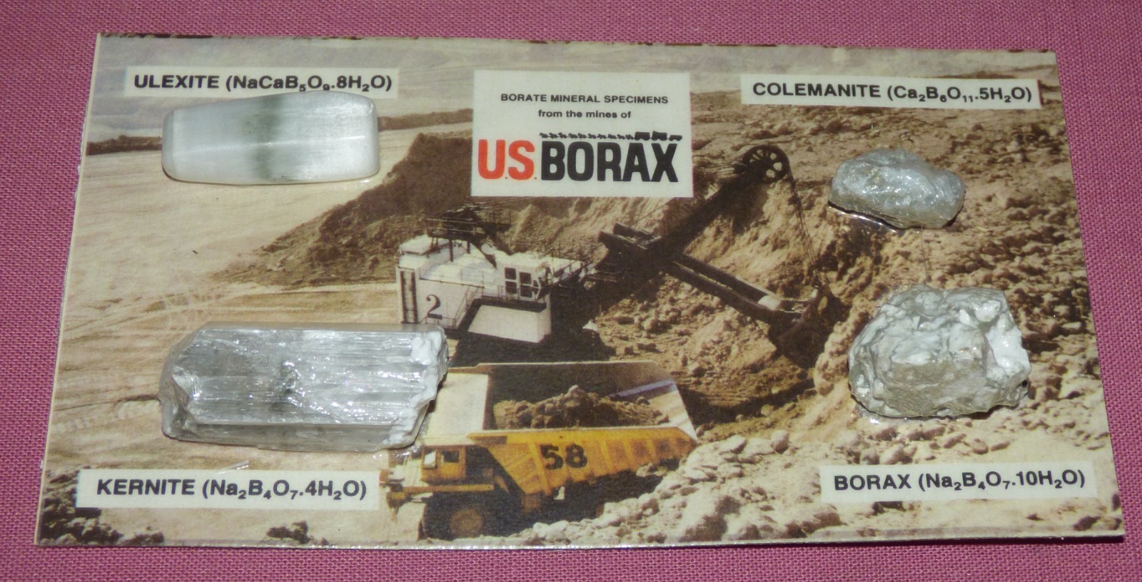 Borax Kernite Colemanite Ulexite Borate Mineral Specimens From The US BORAX Mine