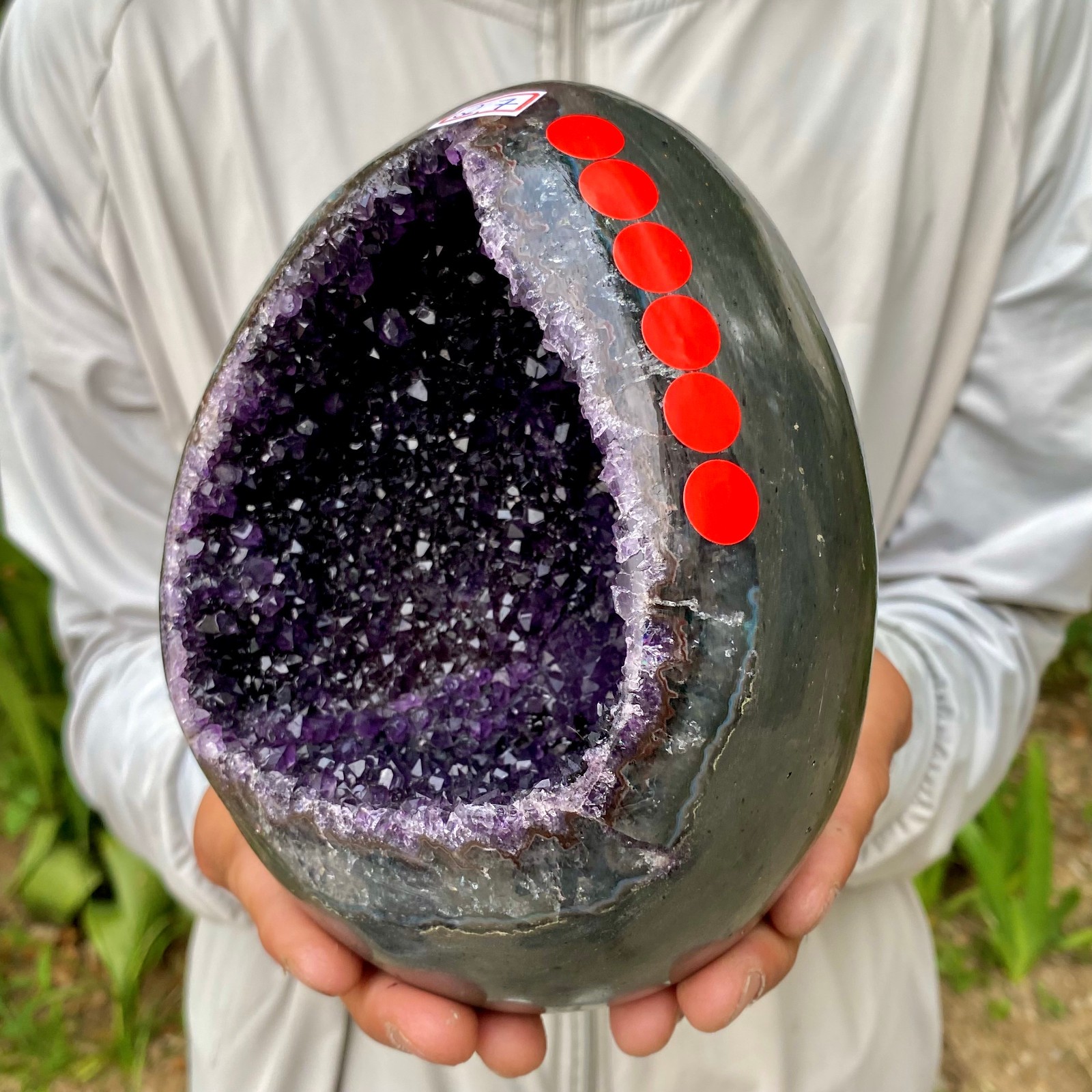 5.99LB High quality Natural Amethyst geode quartz crystal Dinosaur egg healing