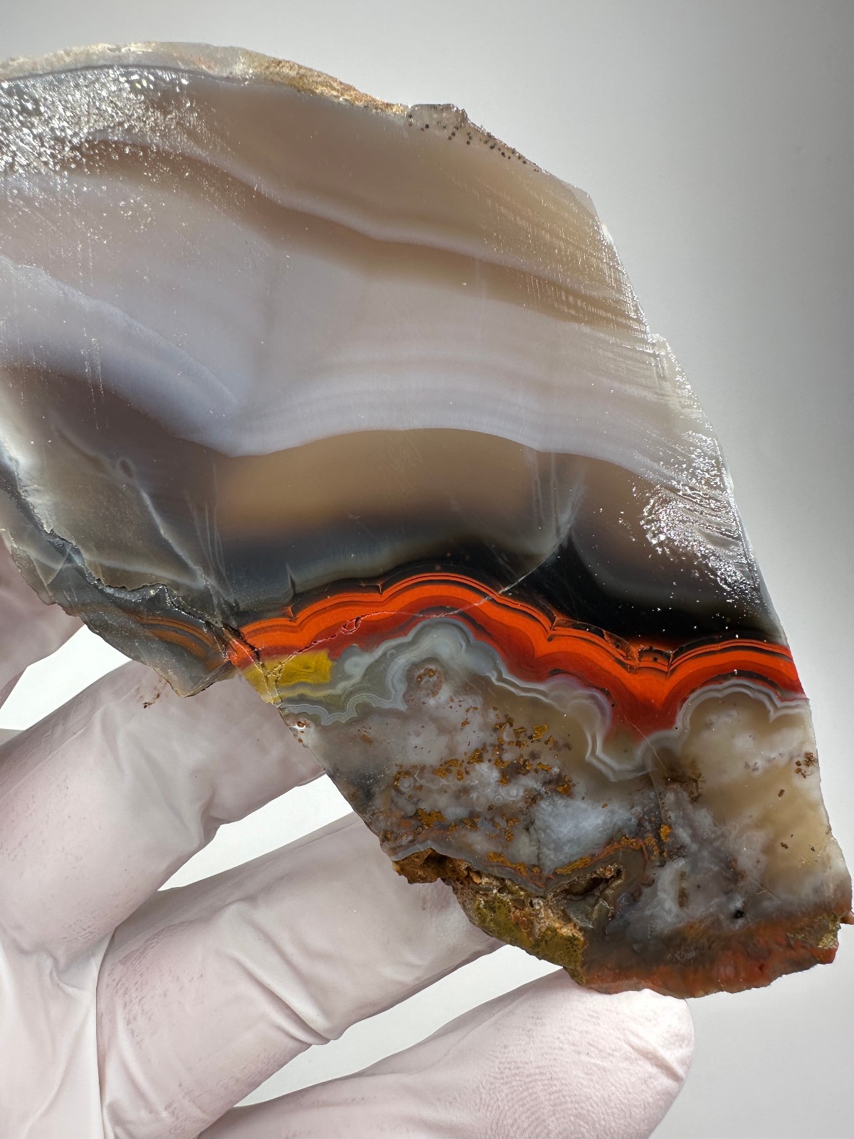 Beautiful Large Kentucky Agate Lapidary Slab from Estill County