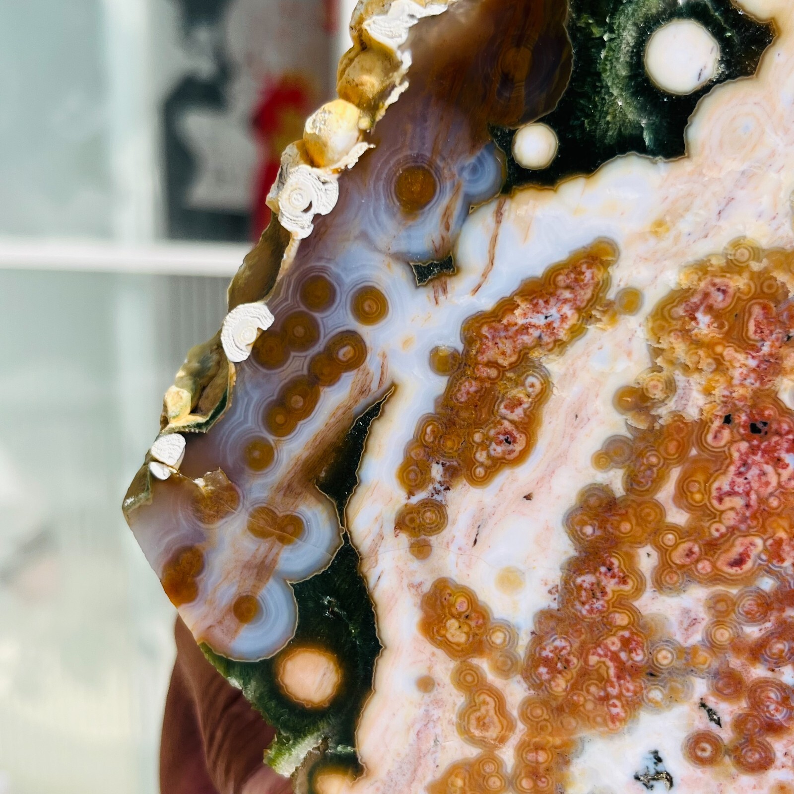 3.75LB Rare Natural The 8th Vein Ocean Jasper Slab Quartz Crystal Reiki Healing