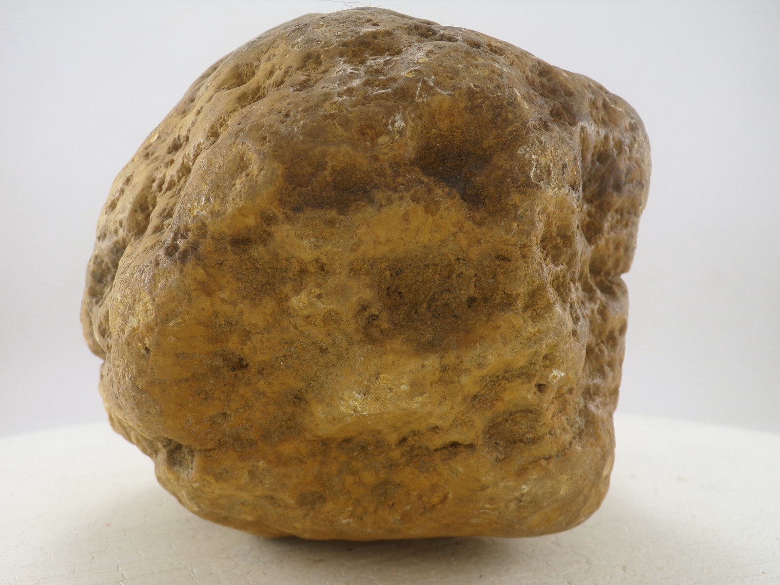 7″ Unopened Geode Nodule 6.4 LB – Natural Uncut Kentucky Quartz Crystal