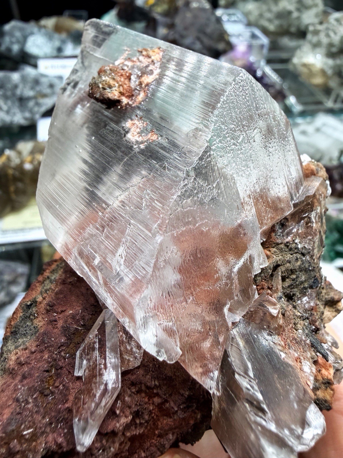 Gypsum Var. Selenite From Chihuahua, Mexico