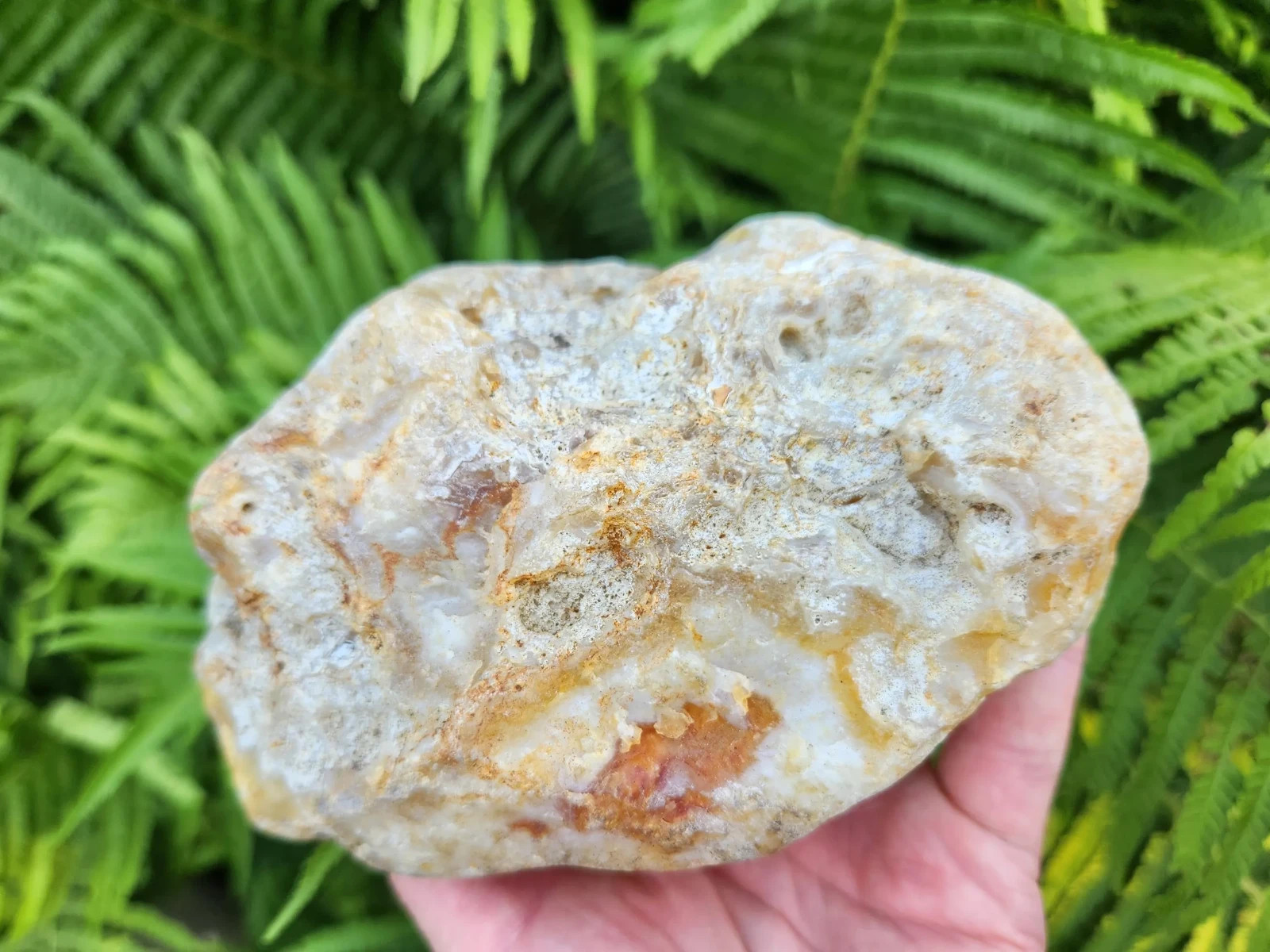 Large Oregon River Agate w/ Waterline Features, 2 lbs 4 oz, Chalcedony, Lapidary