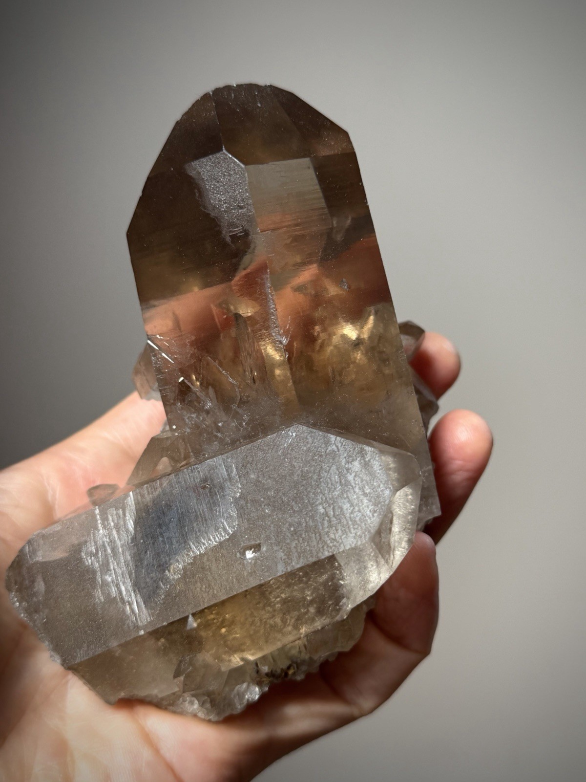 Diamantina Quartz Crystal Starbrary Quartz Natural Smoky Quartz Brazil Crystal