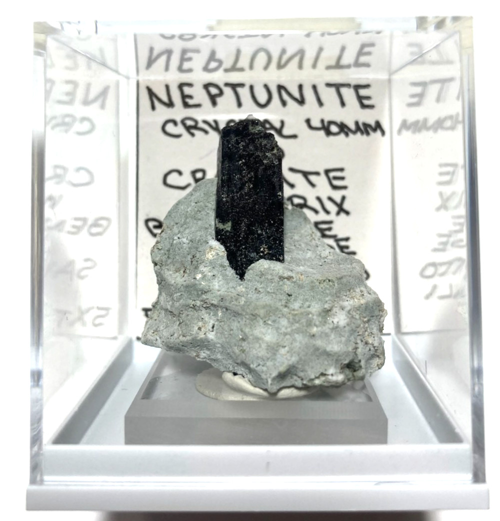 Stunning Neptunite 40mm crystal on Crossite matrix. San Benito California