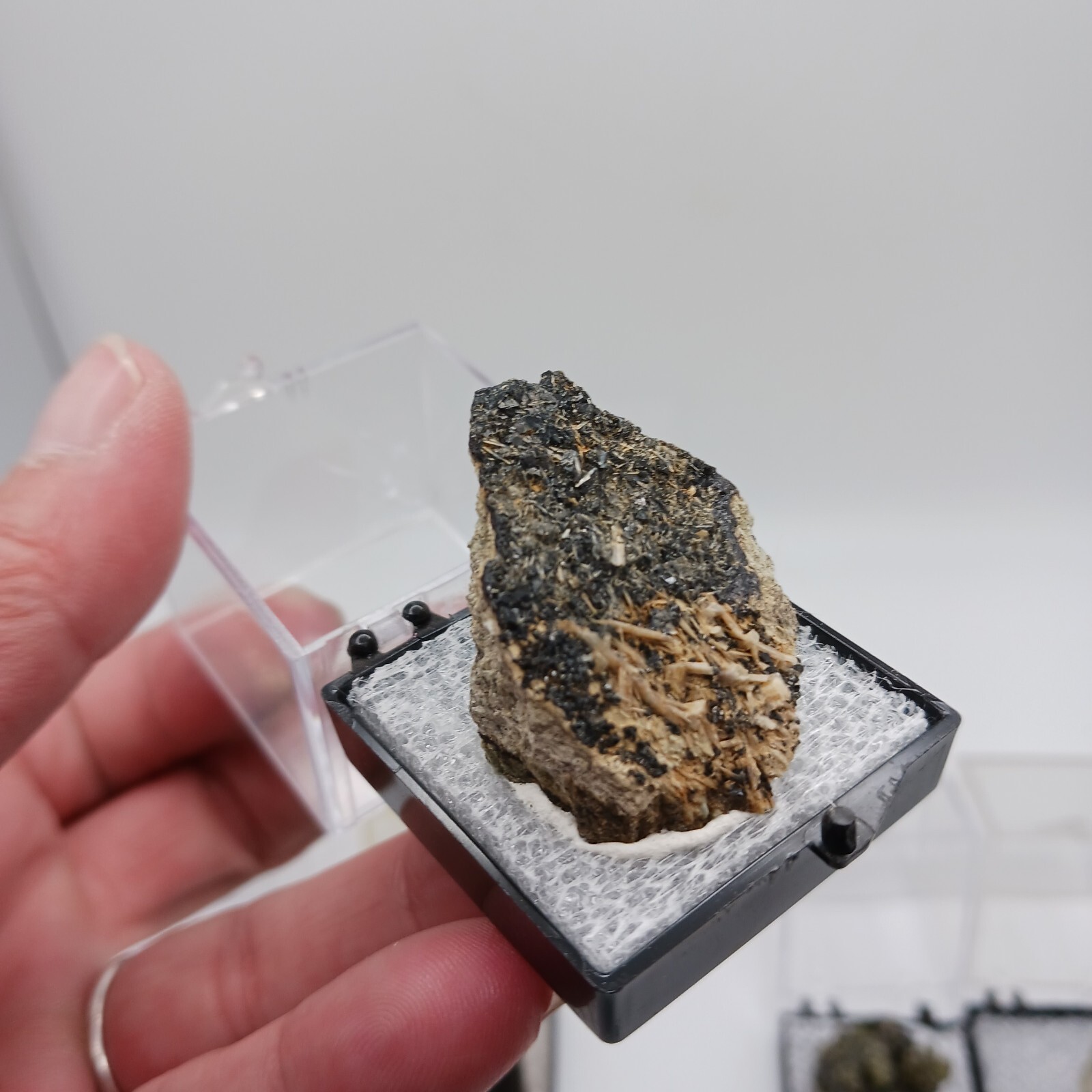 5 Mineral Specimines Estate Lot Bl1 In 1.25 Perky Box