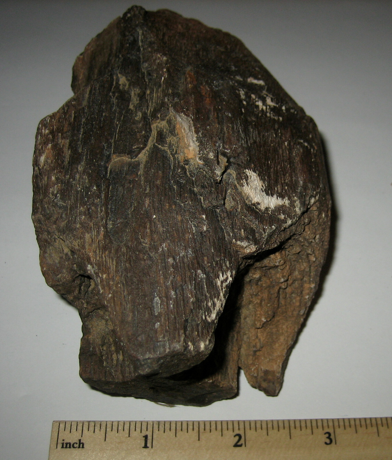 4.6″ NATURAL ROUGH COLORADO RIVER PETRIFIED IRON WOOD FOSSIL STONE 750grams *17