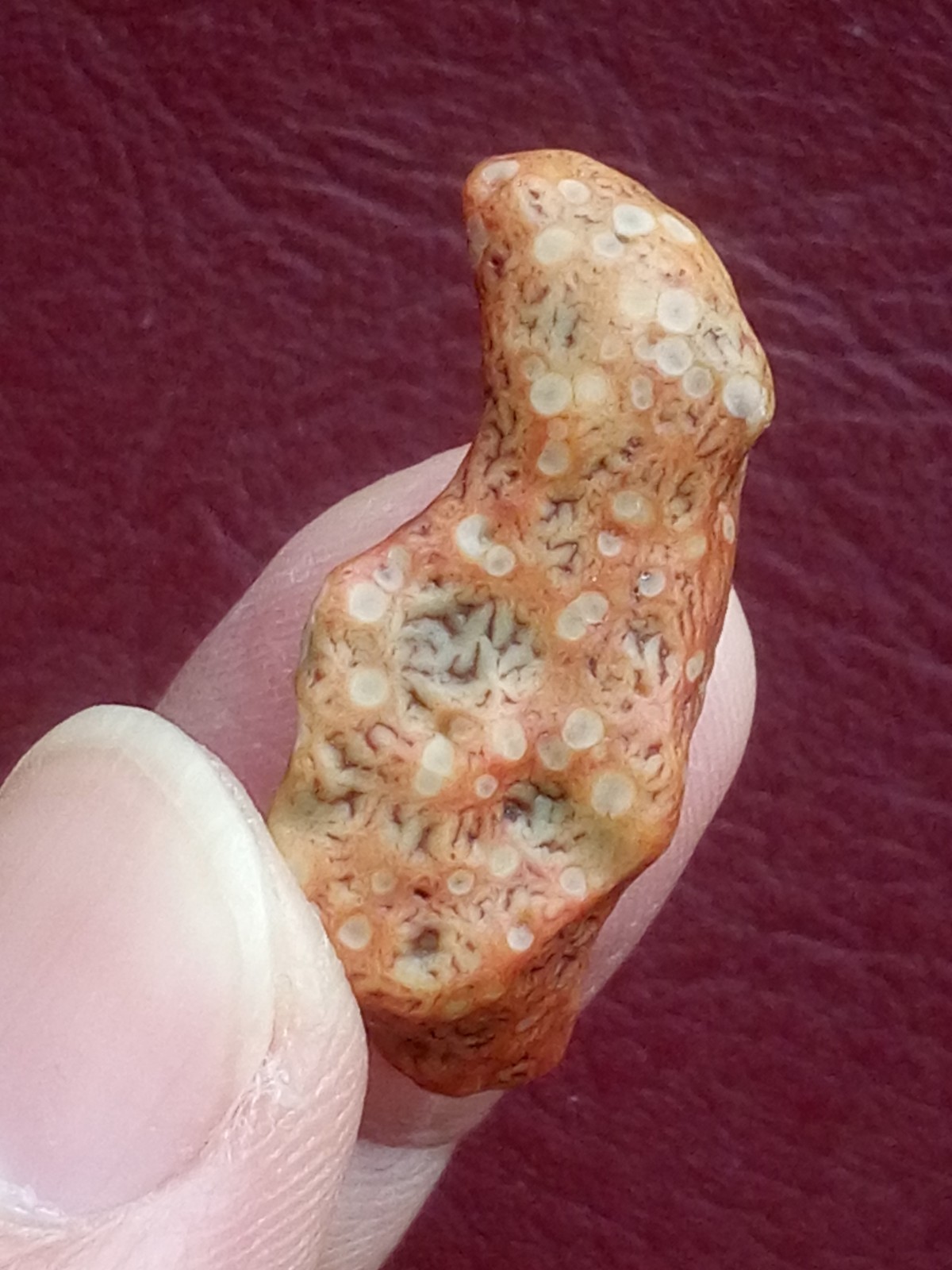 5 pieces Beautiful Natural GoBi agate veins agate Landscape stone