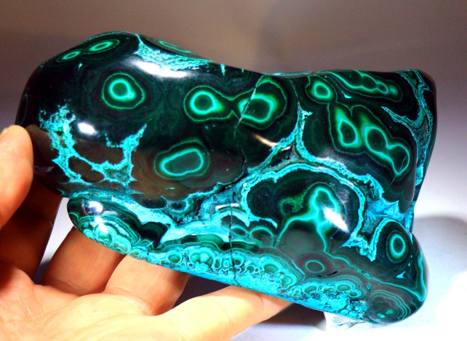5.75 in 2 lb 12.6 oz Vivid Chrysocolla Malachite w/Superb Pattern, Congo! CR178