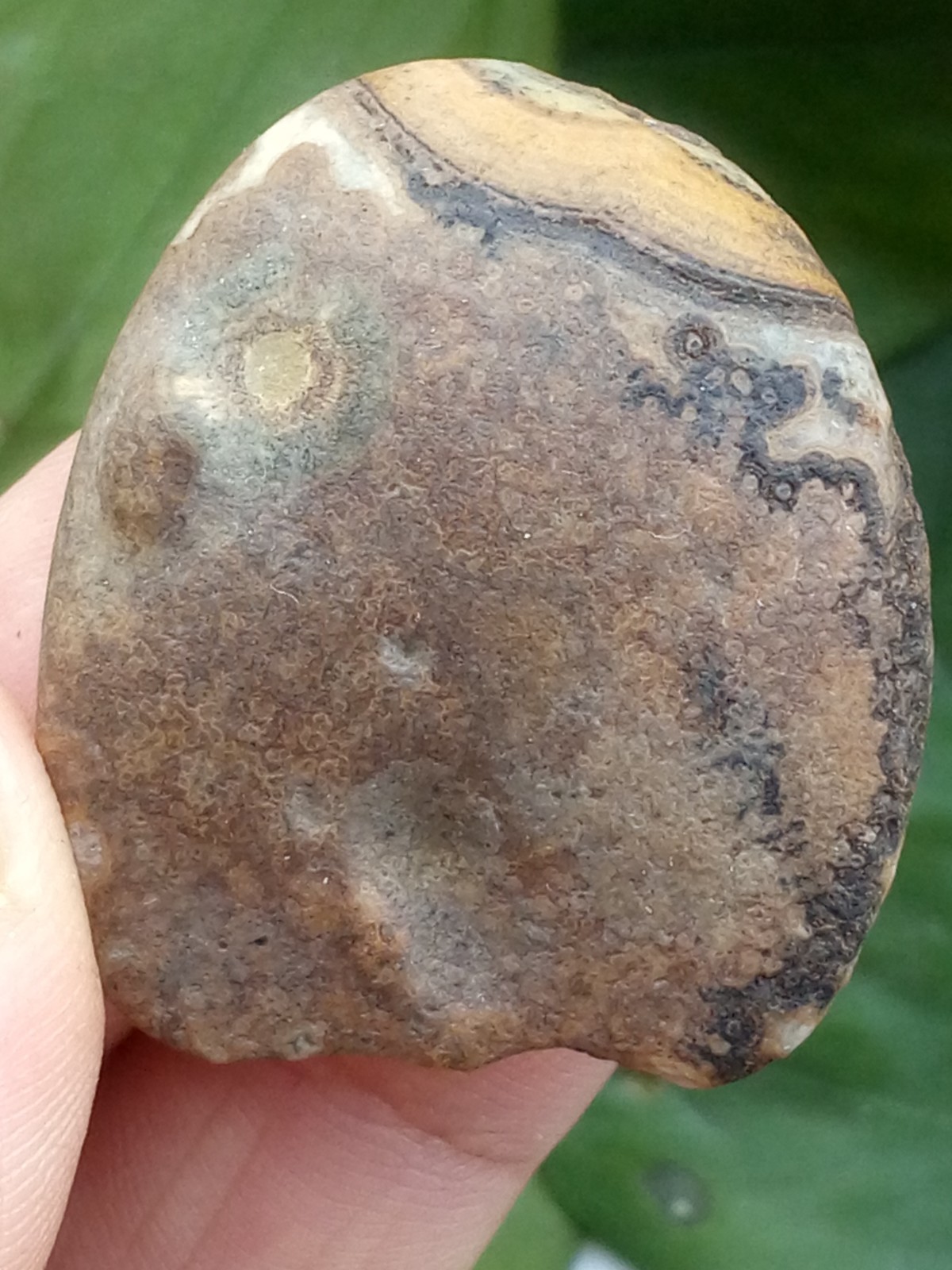 36mm Natural Gobi agate eye agate stone collection