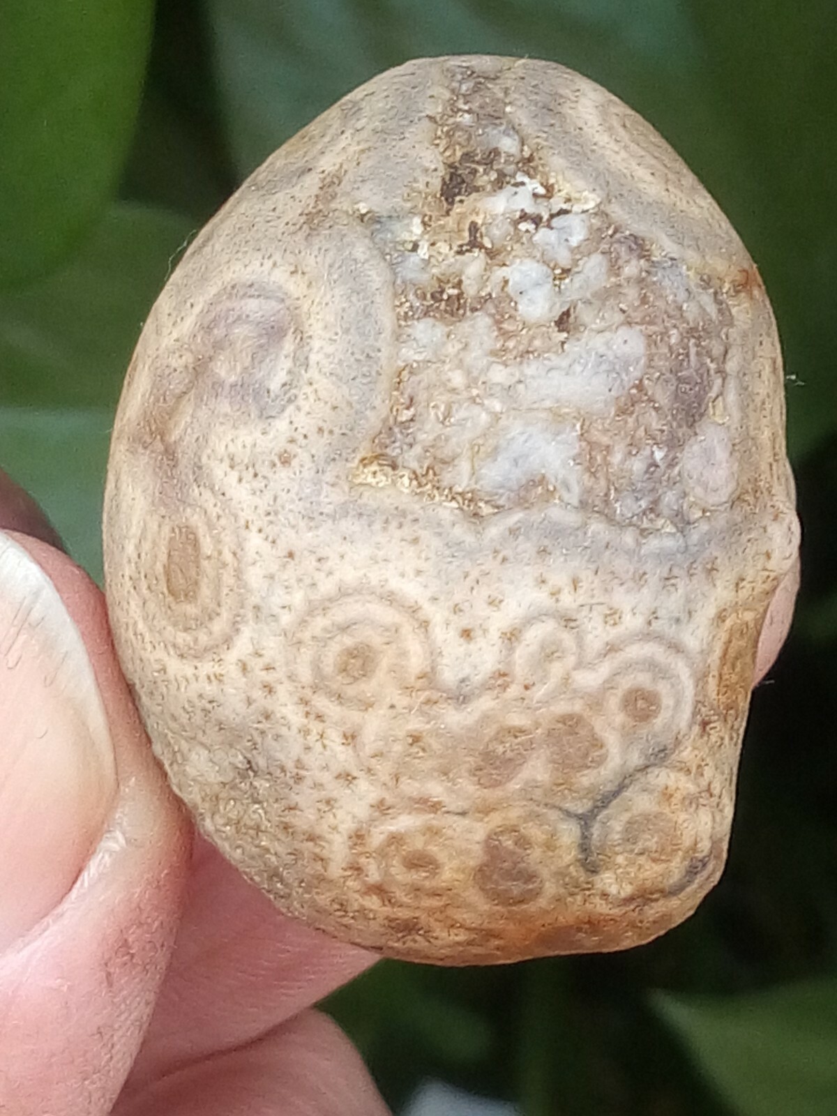 36mm Natural GoBi agate eye agate stone collection china