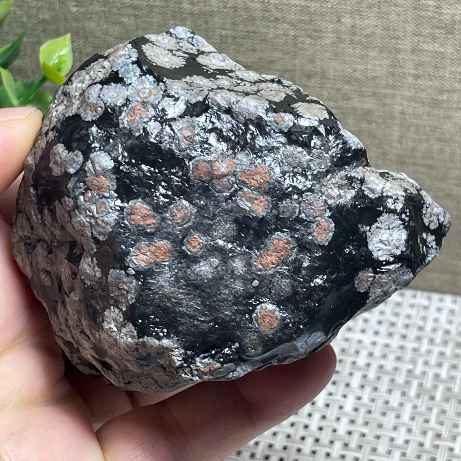 Snowflake Obsidian raw stone rock rough original specimen 300g A143