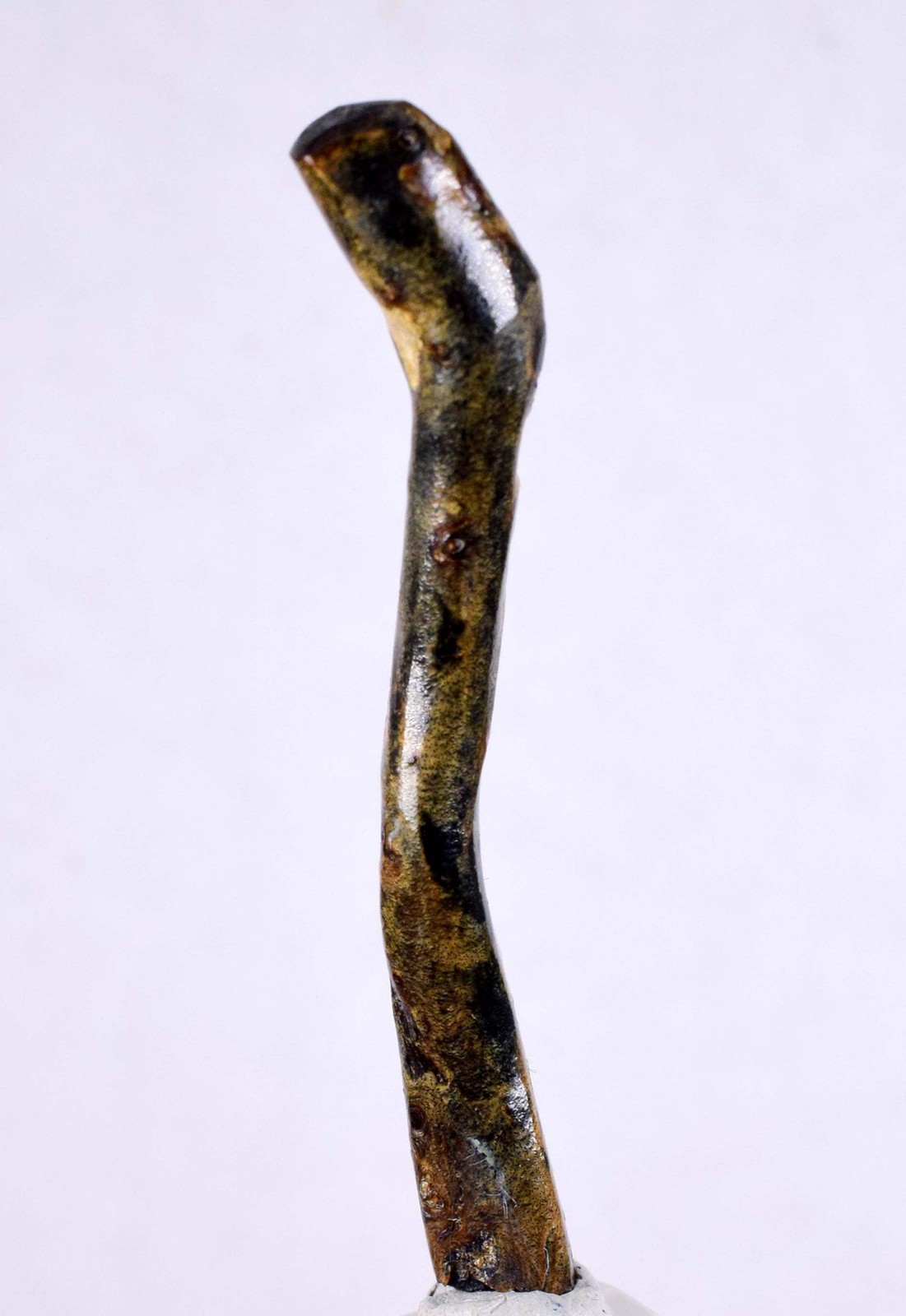 5.4cms GOLDEN BLACK CORAL Polished Peru Natural Branch Sea Genuine Cabochon VE73