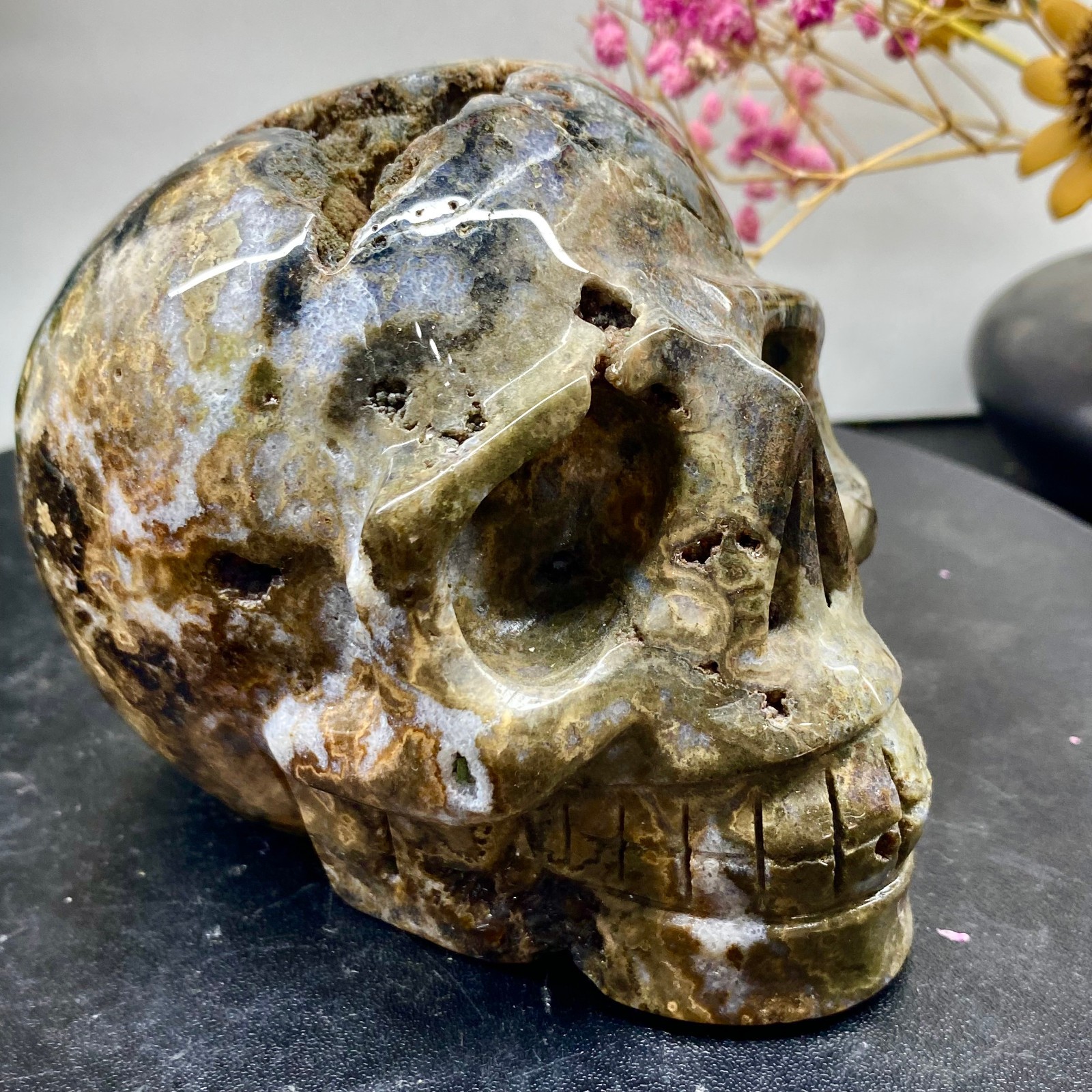 2.55LB Natural ocean jade hand carved skull collection