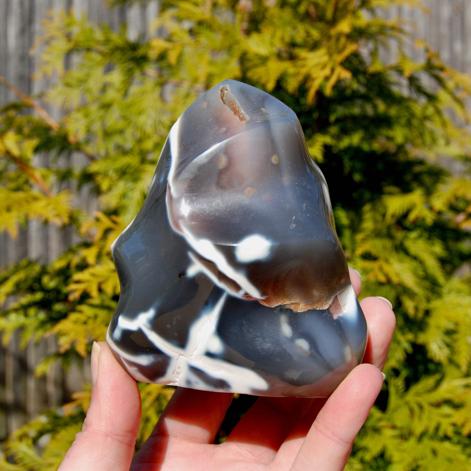 4.25in 1.5lb Orca Agate Crystal Flame Tower