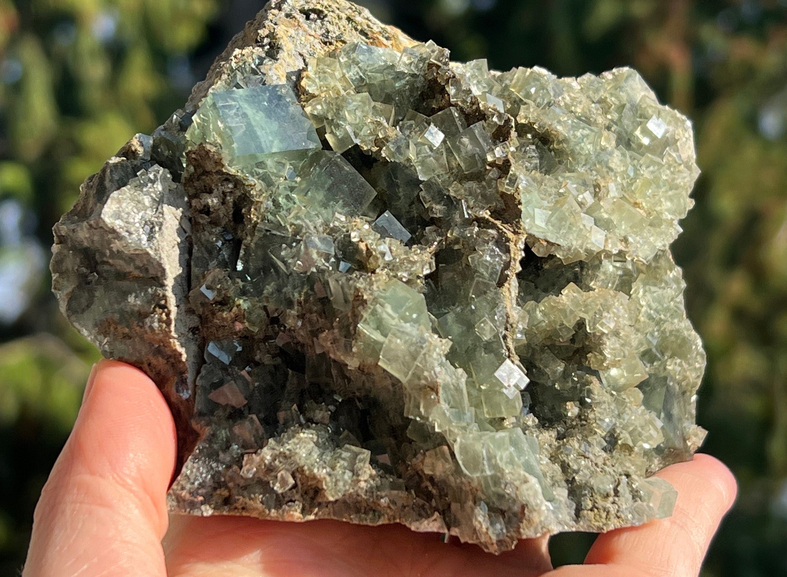 Xianghualing Fluorite Cubes on Matrix – from Hunan, China
