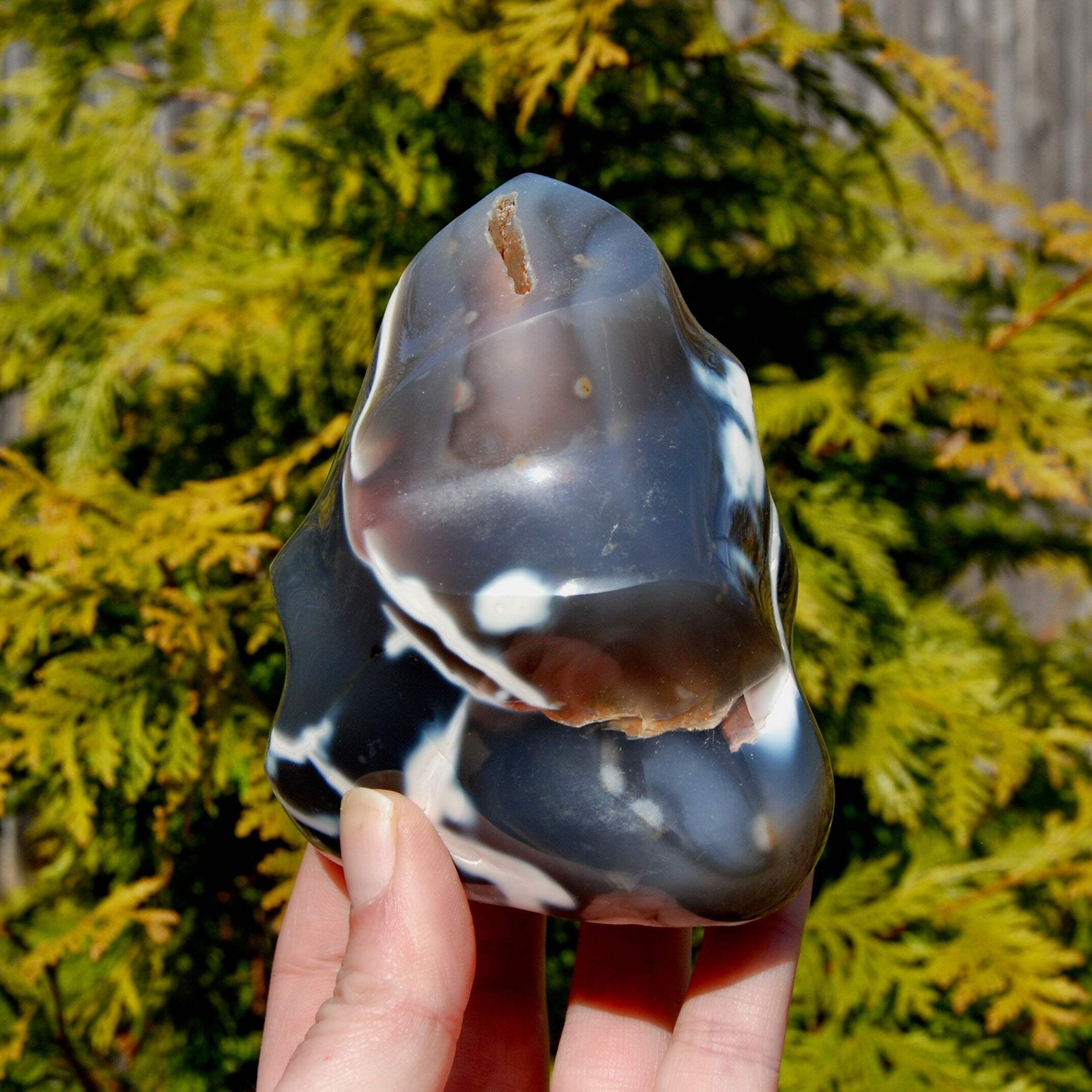 4.25in 1.5lb Orca Agate Crystal Flame Tower
