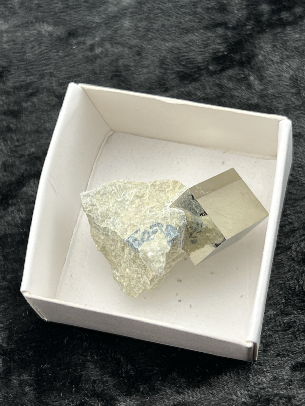 Pyrite Cube on Limestone Matrix from Mina Ampliación A Victoria, Navajún, Spain.