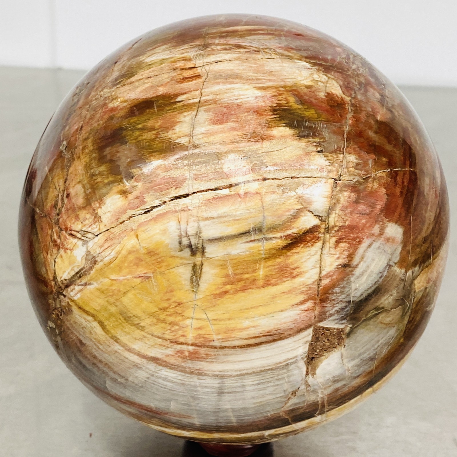 Natural Petrified Wood Polished Stone Quartz Crystal Sphere Ball Healing 3720G