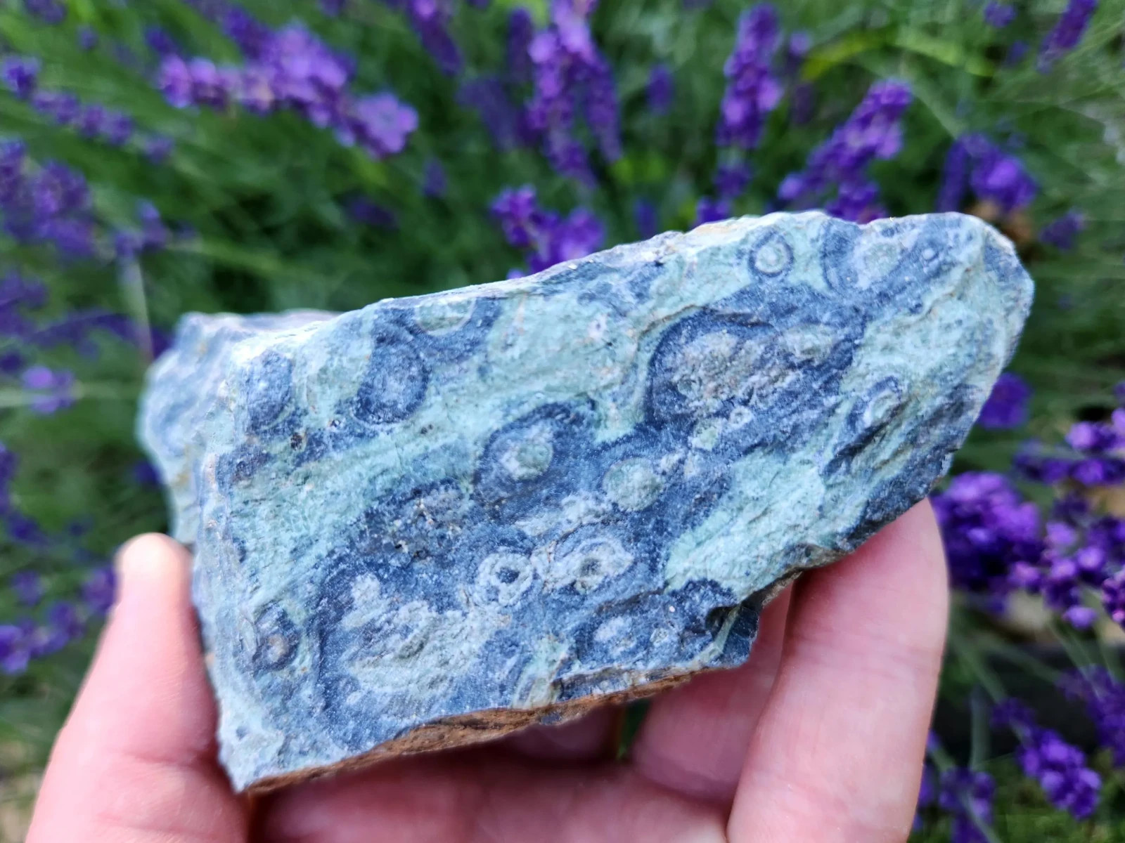 4.5 lbs Kambaba “Crocodile” Jasper – 5 Pieces – Ideal for Lapidary or Tumbling