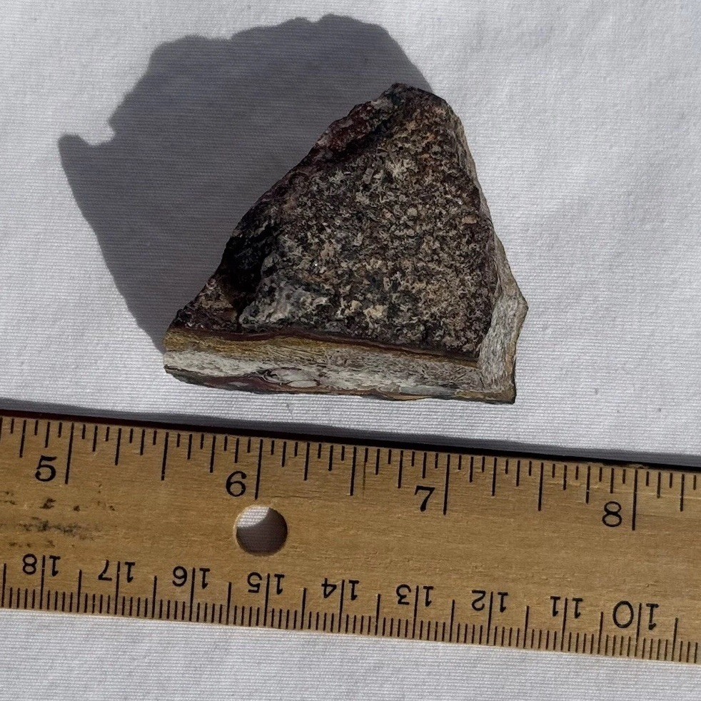POLISHED MEXICAN CRAZY LACE ~2.0 ounces/57 grams