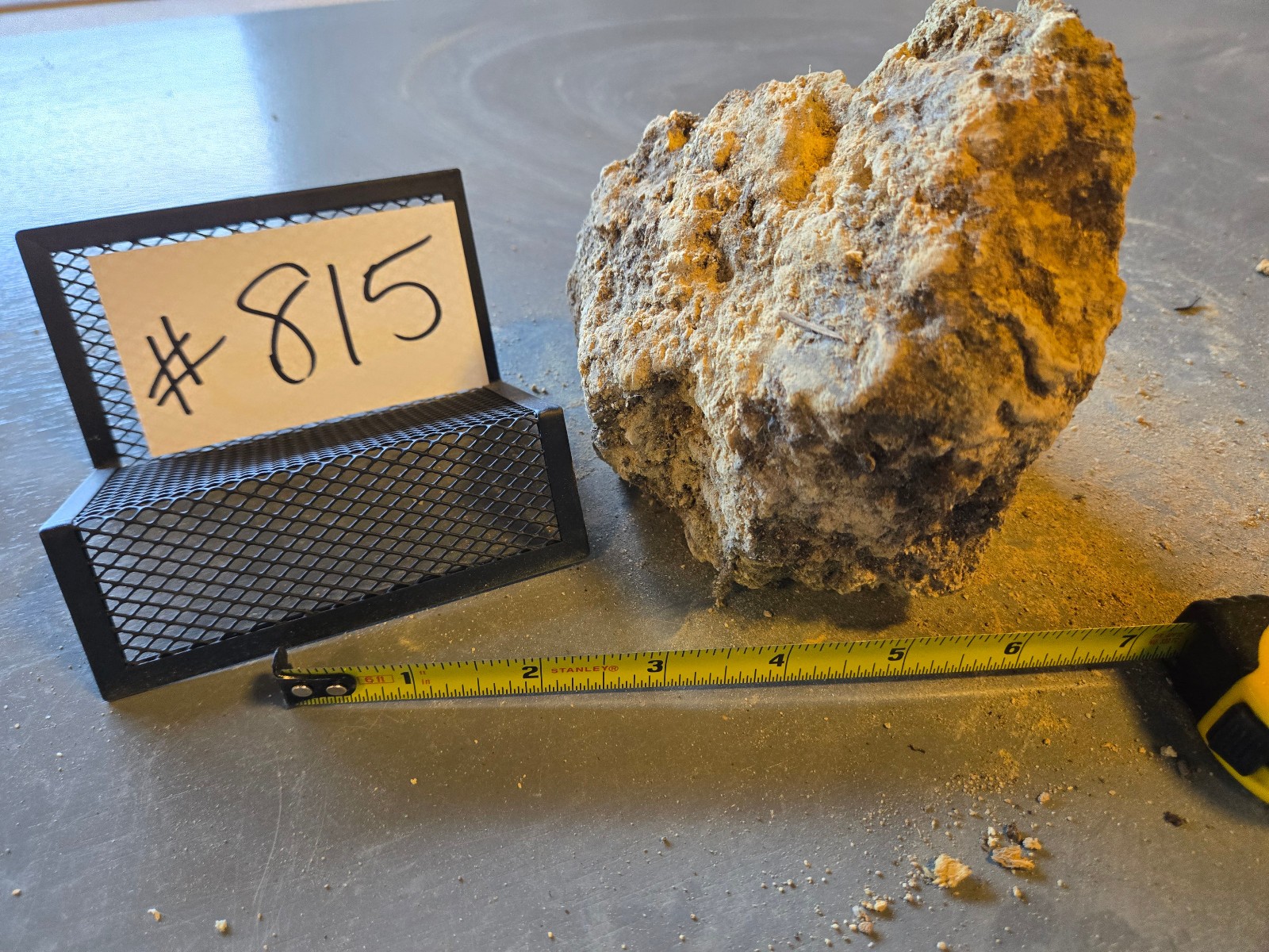 5″ Medium Pumice Stone Floating Natural Rock Carnivorous Succulent Garden #815