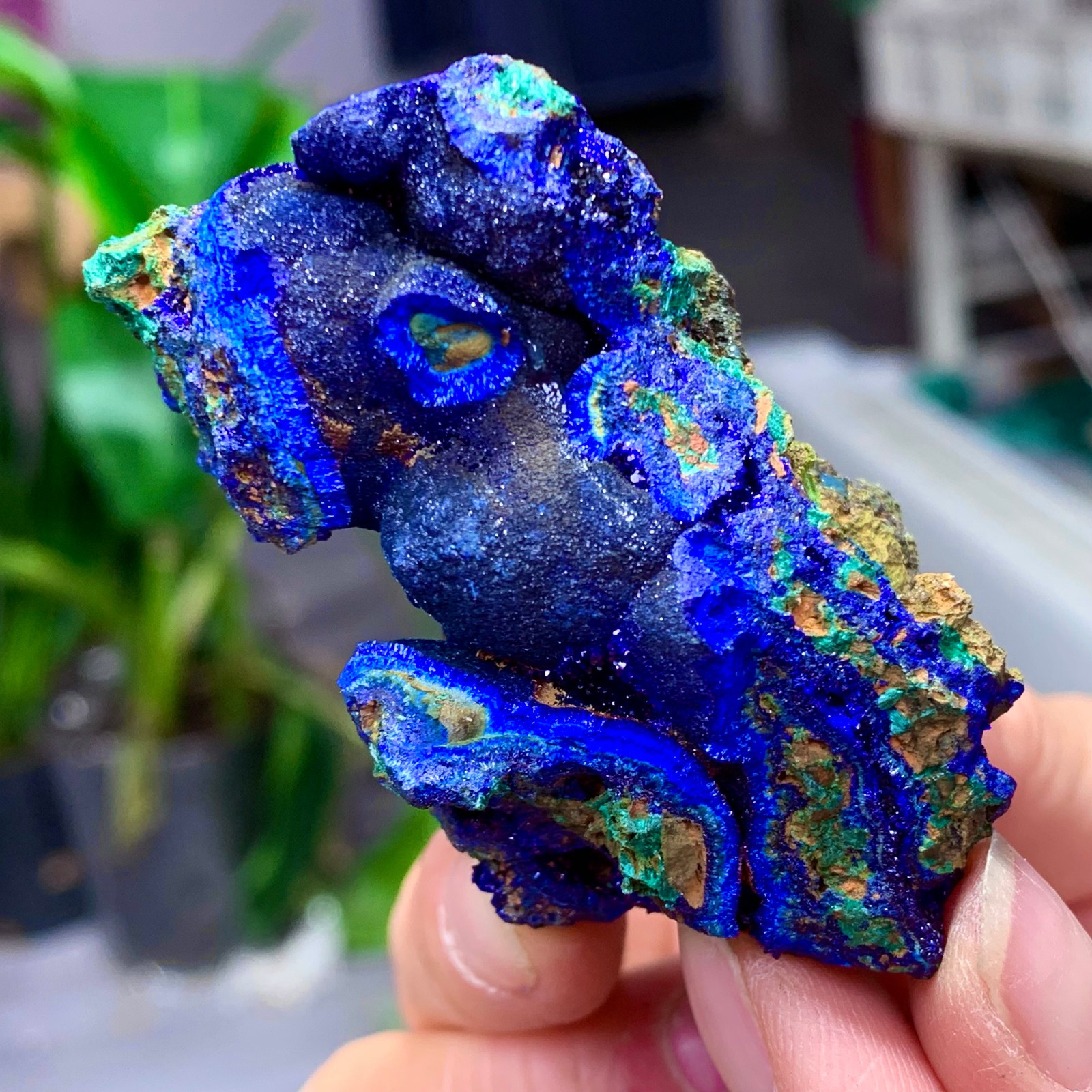 102G BEST Natural Azurite/Malachite crystal minerals specimens
