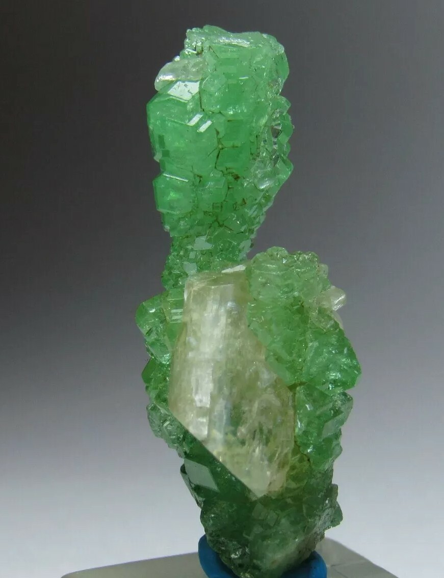 Remarkable Twisted Geometric Tsavorite Grossular Garnet w/ Diopside!!! Tanzania