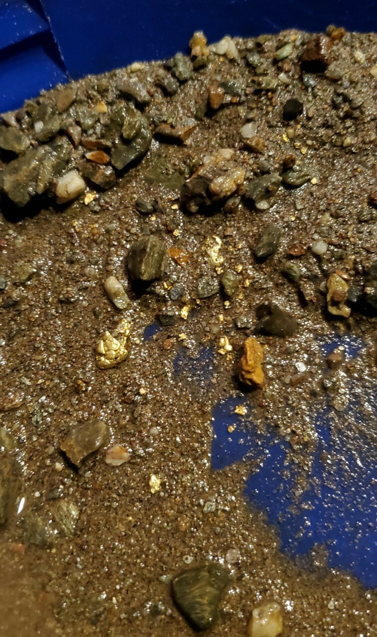 1 GRAM BONUS NUGGETS California Gold Panning Paydirt Trommel Concentrates