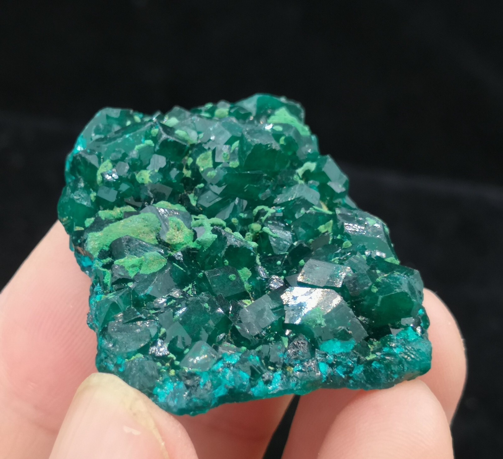 38mm Malachite on Gemmy Dioptase mined from Congo, Natural Mineral Specimen