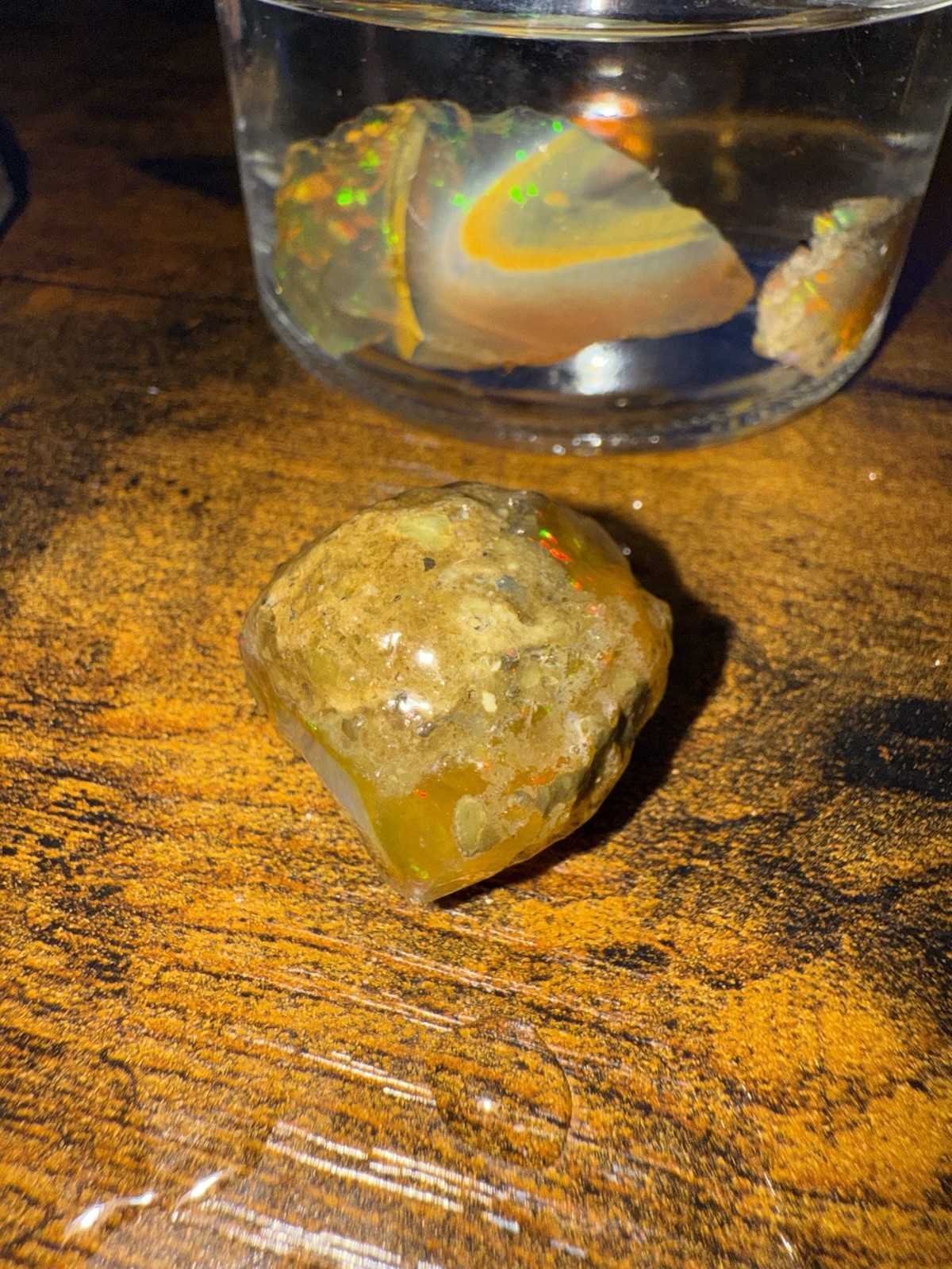 Specimen Rough Opal Stones in Jar – Ethiopian Rough, Multiple Mixed-Color Pieces