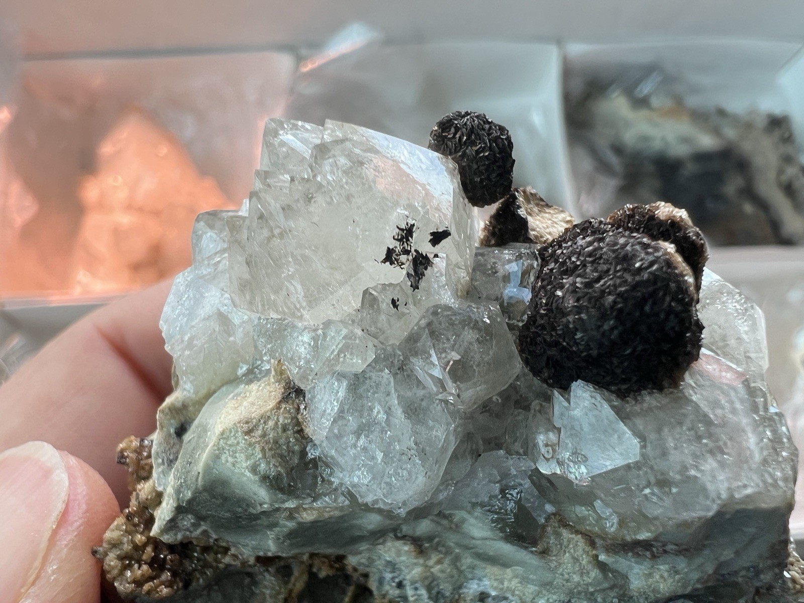 12 Quartz & Siderite Specimens – Potosí Mine, Santa Eulalia, Chihuahua, Mexico