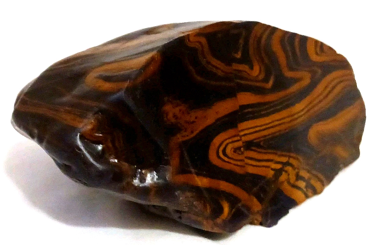 Rare Wyoming Banded Iron Formation BIF Display Rock Cut & Polished Display Tiger