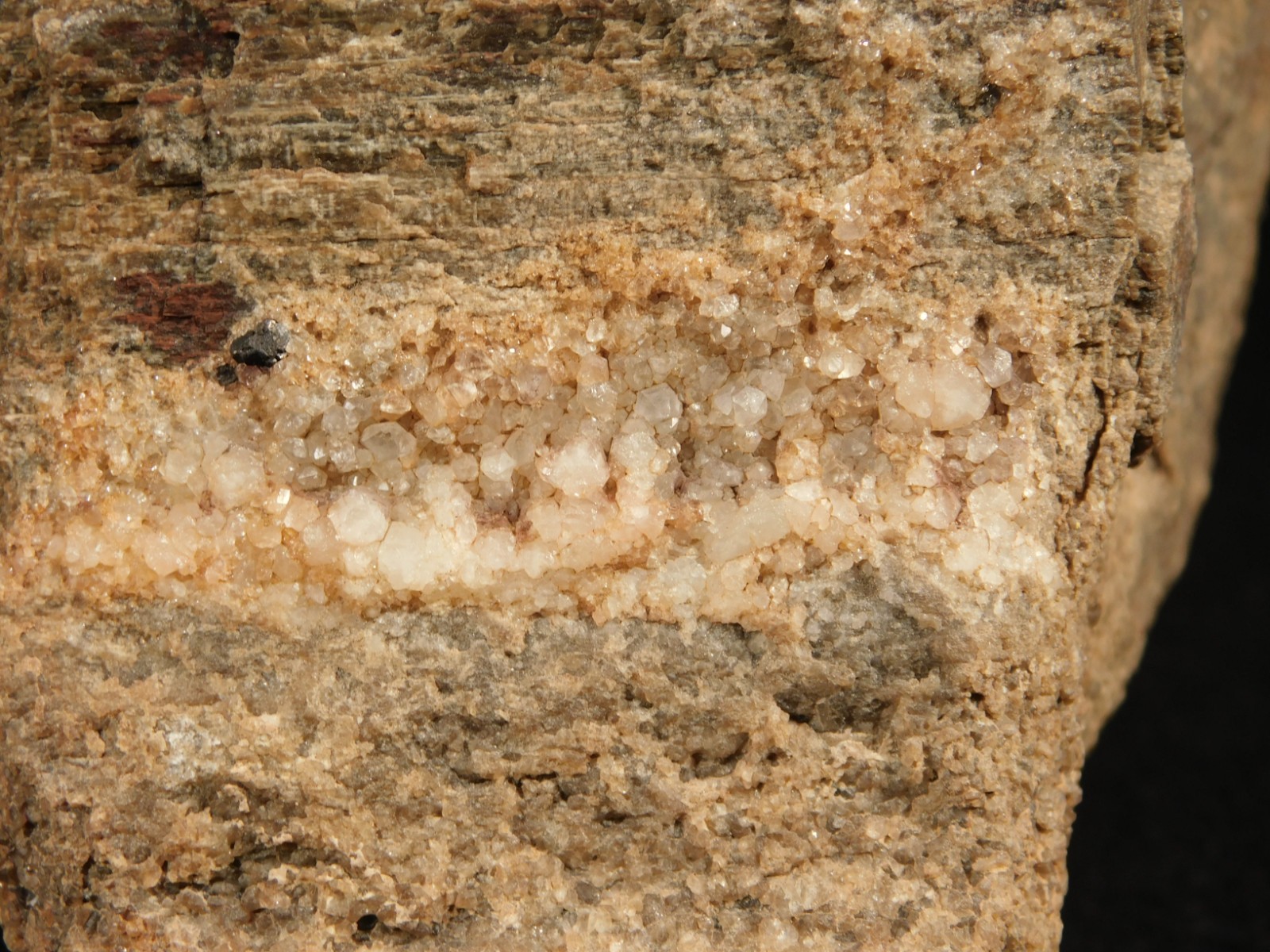 Big! Petrified Wood Fossil With SMOKY Quartz CRYSTALS Utah 2362gr