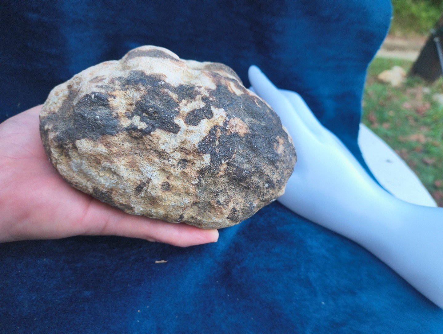 Large Kentucky Geode 3–5 inch – Crack Open Giant Quartz Crystal Rock – Authentic