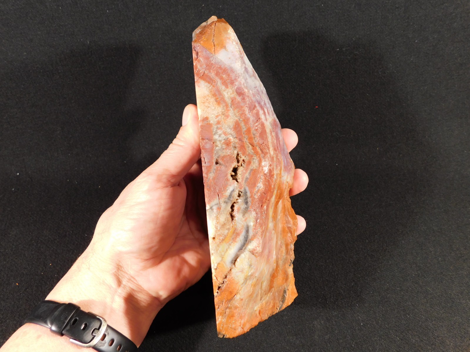 Big Free Standing Polished Deep RED Petrified RAINBOW WOOD Fossil Arizona 1791gr