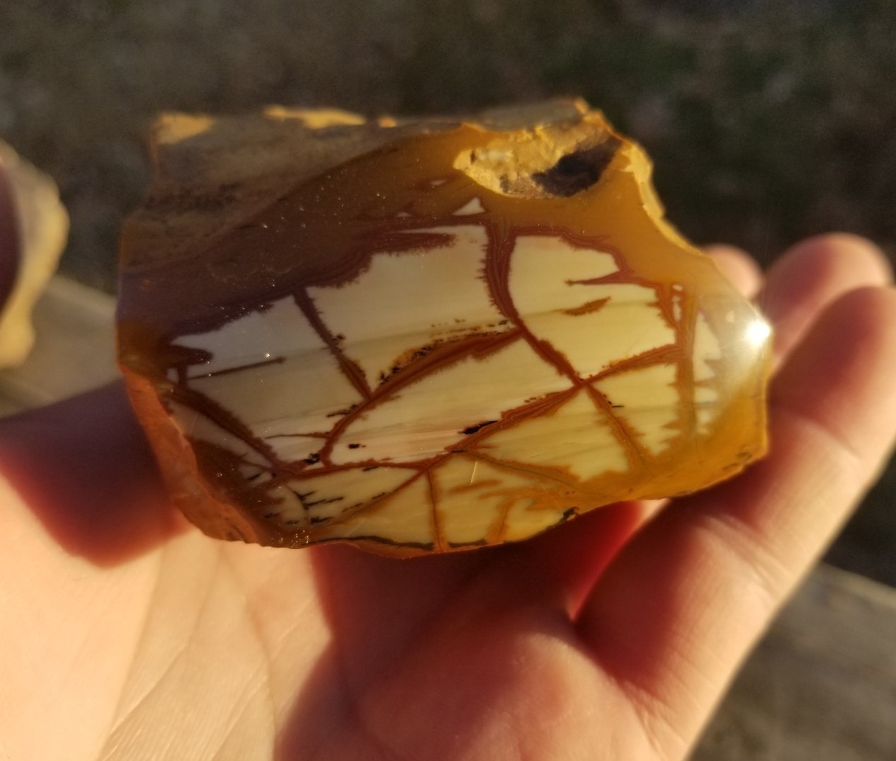 Nice End Polished Gem Grade Owyhee Picture Jasper Specimen 13.5oz Oregon Display