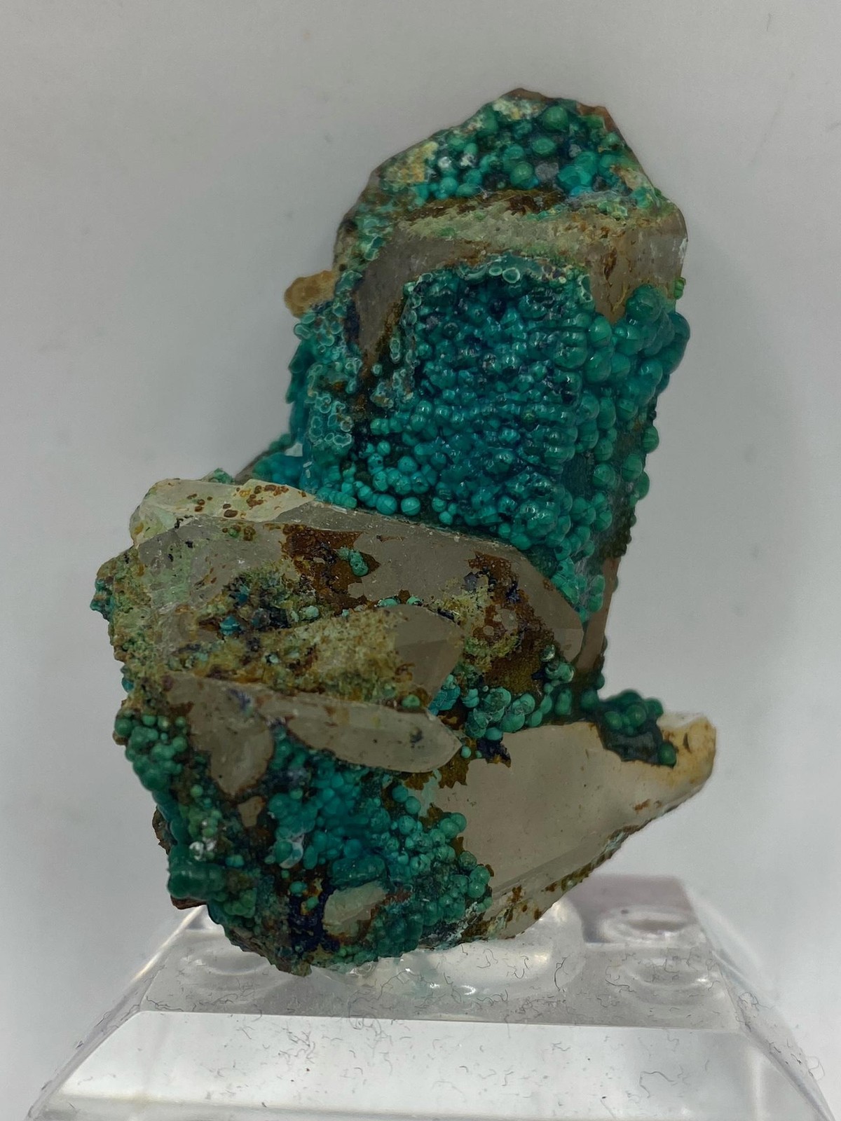 Botryoidal Chrysocolla on Quartz! Tentadora Mine Peru! See video!
