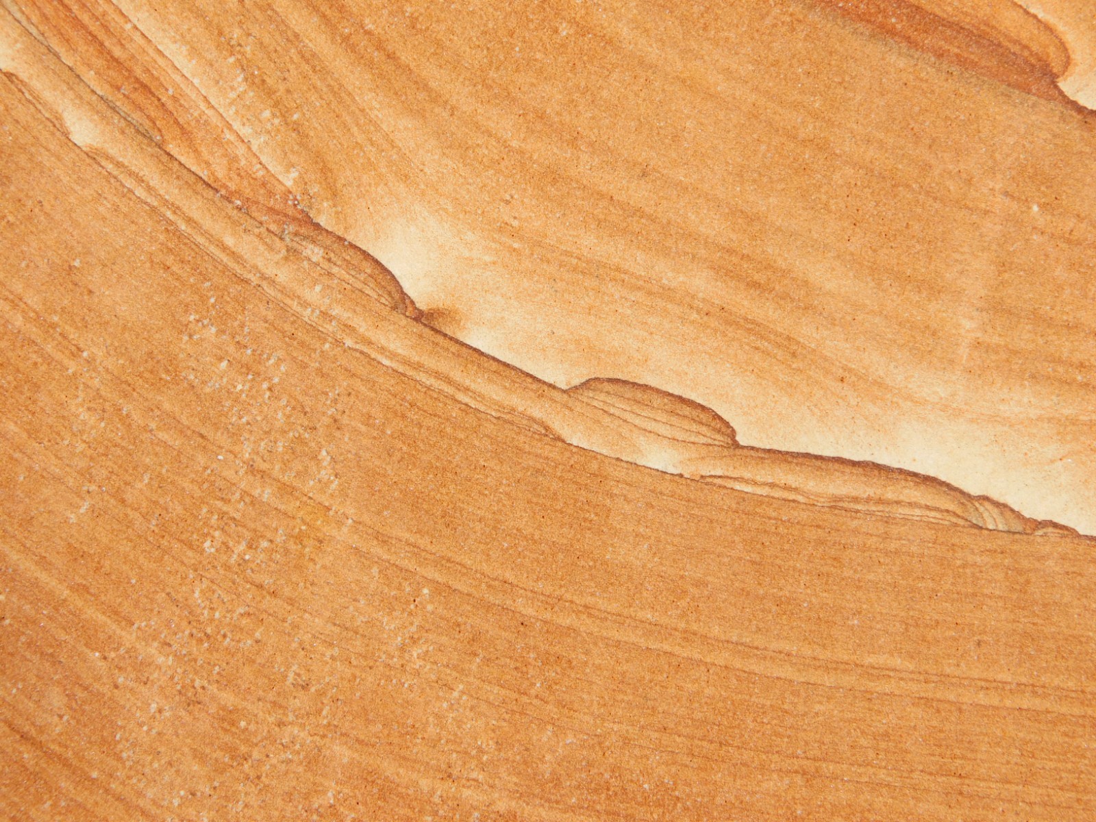 wOw! LARGER PICTURE Stone or SANDSTONE Slice/Slab with Display Stand Utah 541gr