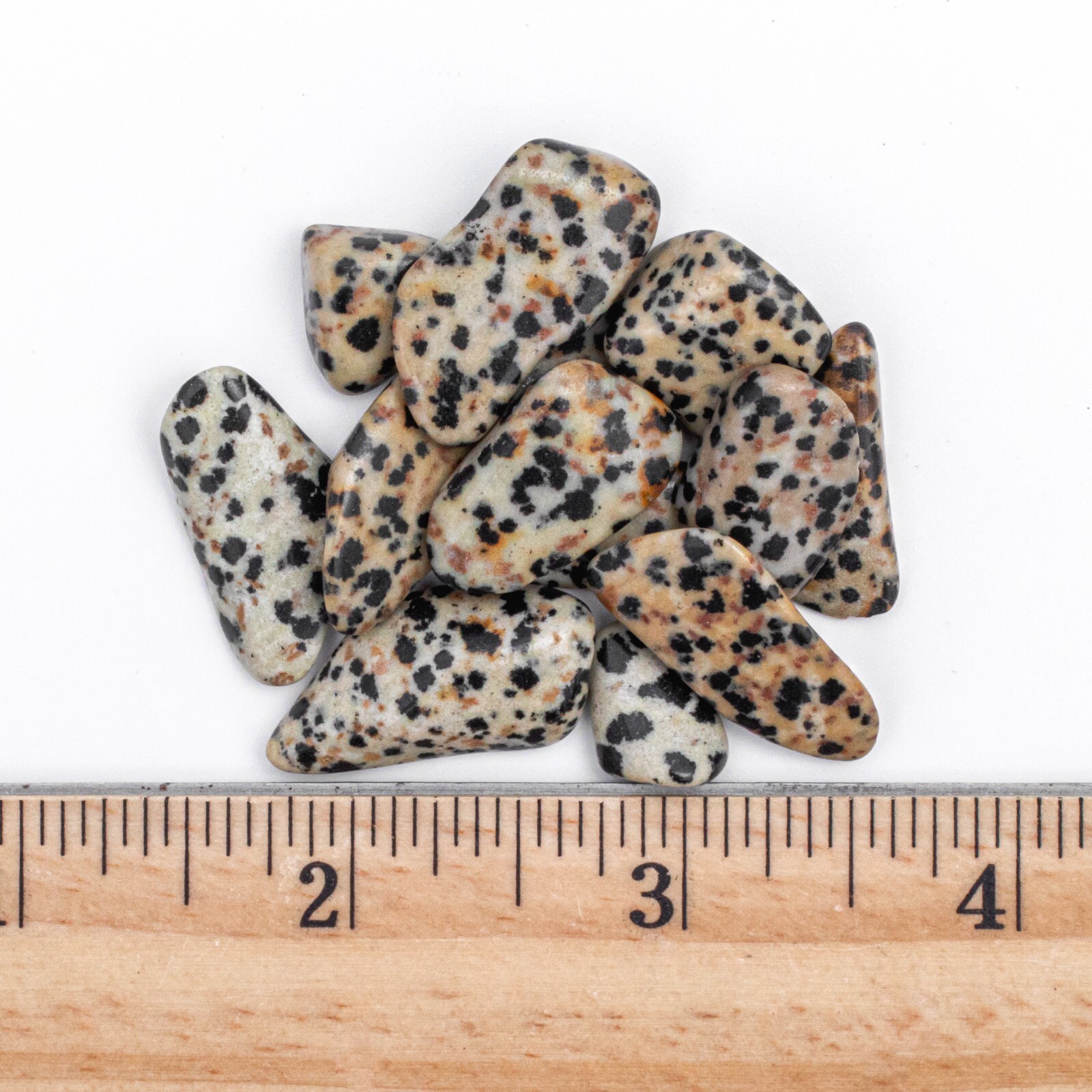 25g Tumbled Dalmatian Jasper Gemstone Crystals 10-20 Stones Bulk Gems Wholesale