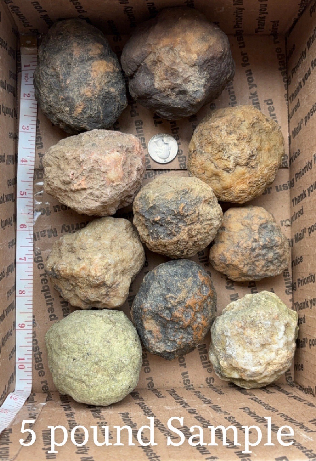 15 lbs Unopened Geodes Lot Natural Quartz Crystal Break Your Own Geode/ Lapidary