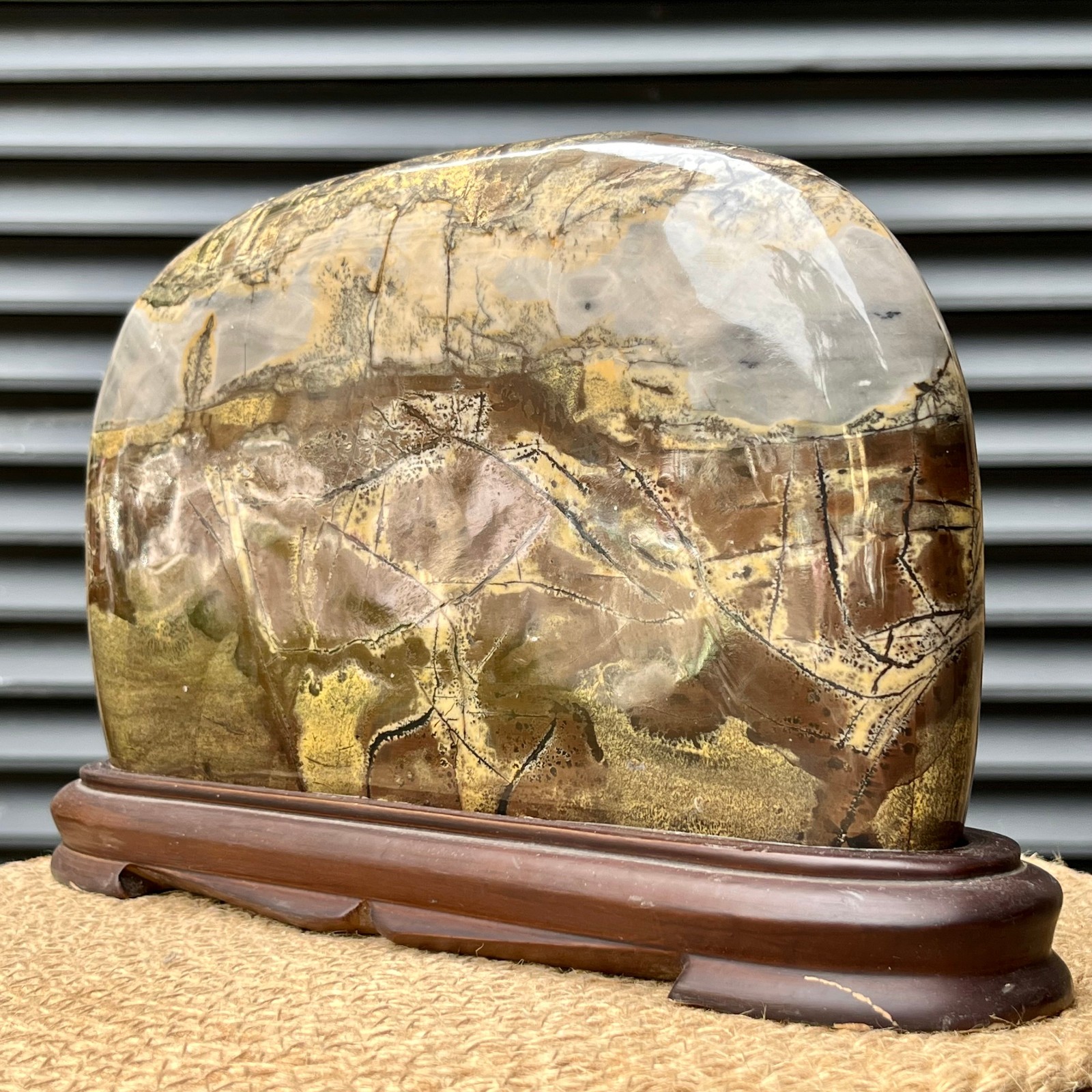 6.2 lb Natural Scenic Stone Display Polished Pattern Art w/ Wood Stand