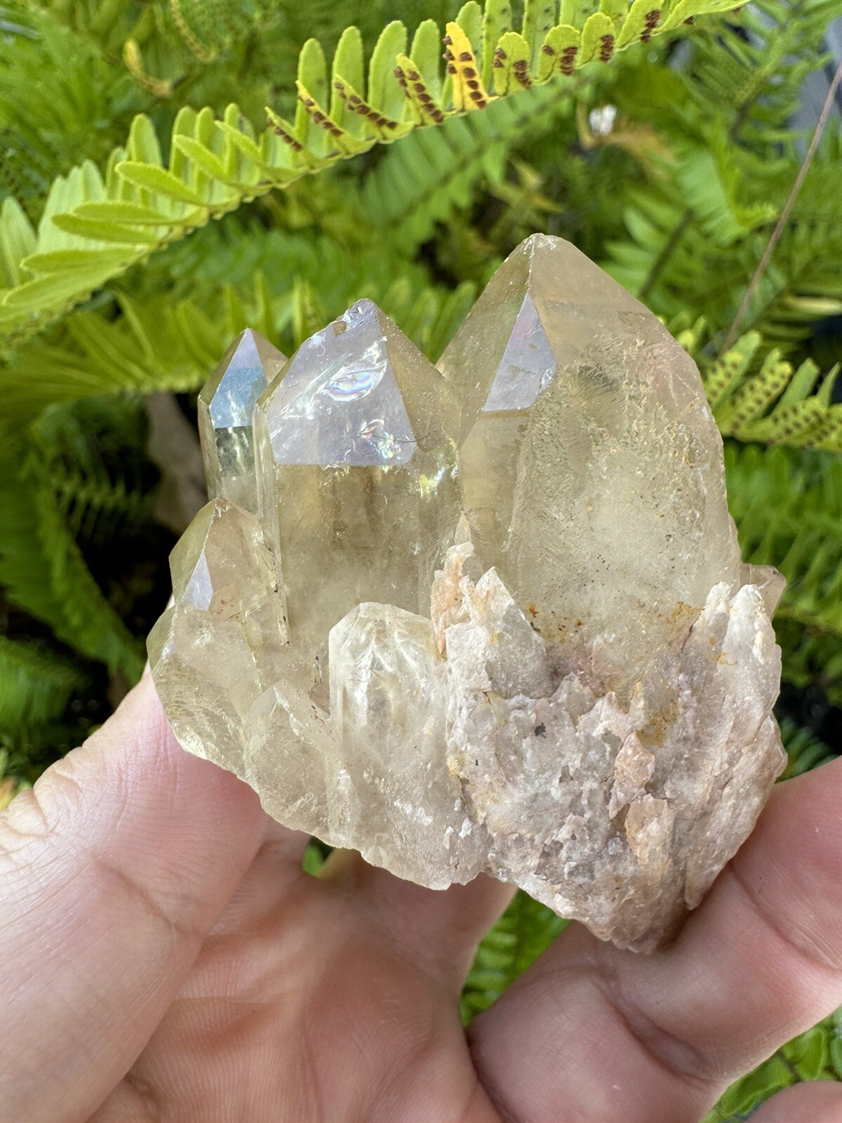 Rare KUNDALINI CITRINE Natural Healing Crystal Point – Lwena, CONGO 142g