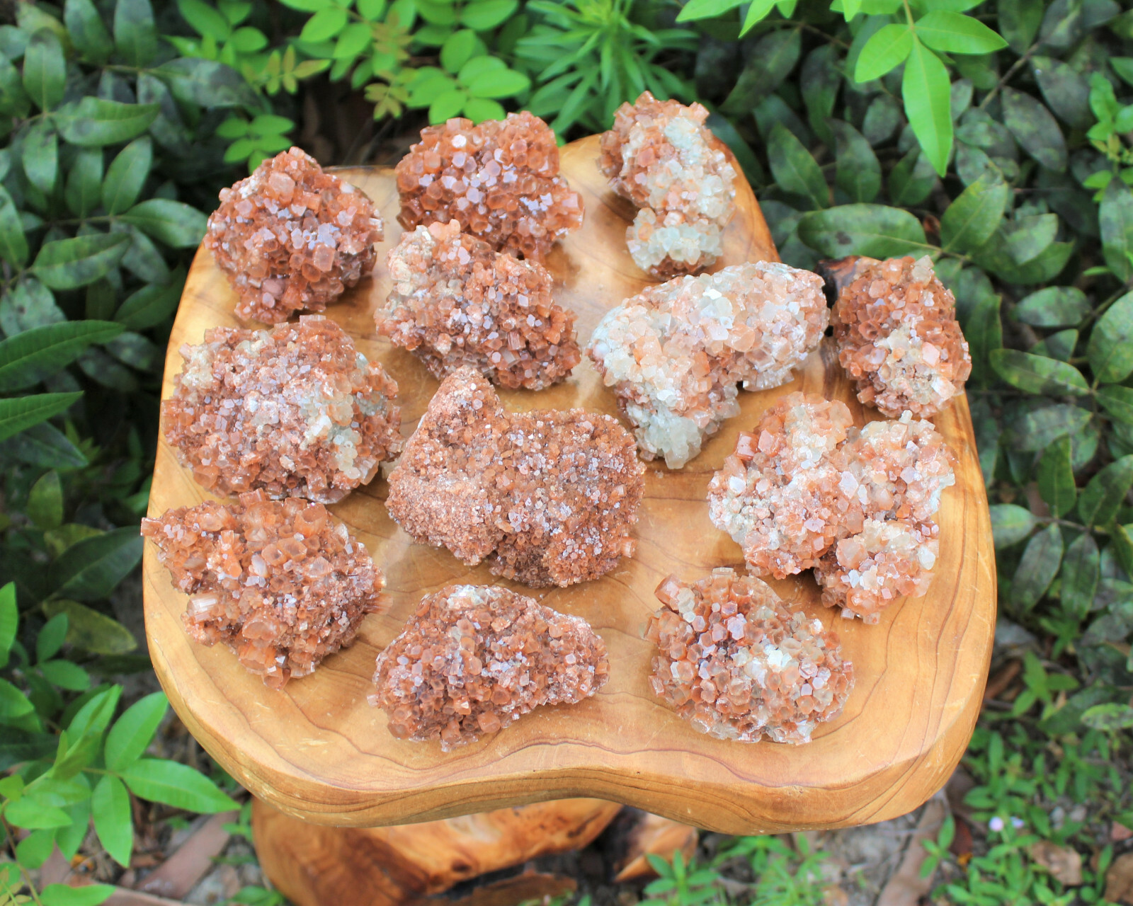 Aragonite Clusters from Morocco ‘A’ Grade Aragonite Crystals: You Choose Size!