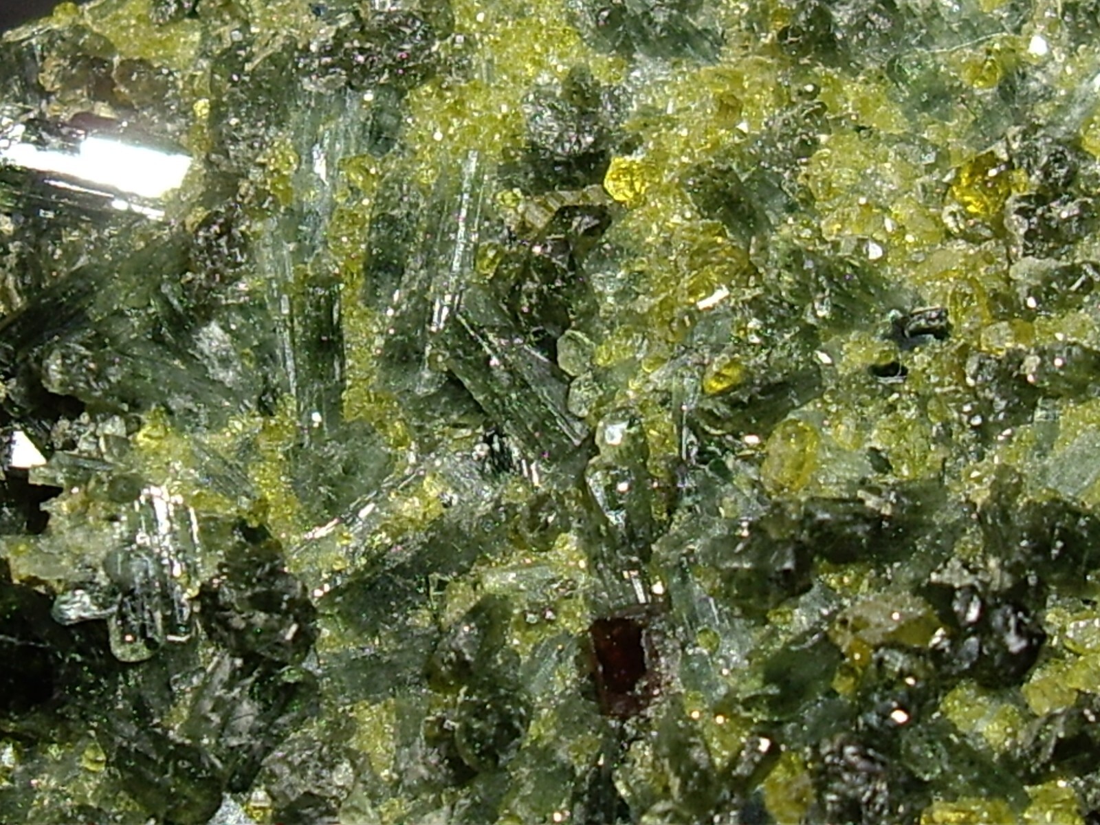 Awesome Magnetite, Vesuvianite, Garnet, and Diopside Crystals on Matrix 23.3g
