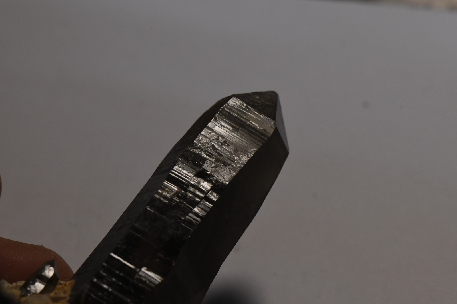 #31 Very Dark Smokey Quartz Crystal Sawtooth Mts Idaho 3.6 x 1.5 x 2.0 inches