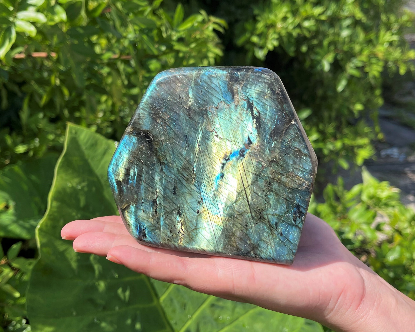 JUMBO Polished Labradorite Freeform: High Flash Free Standing Crystal Specimens